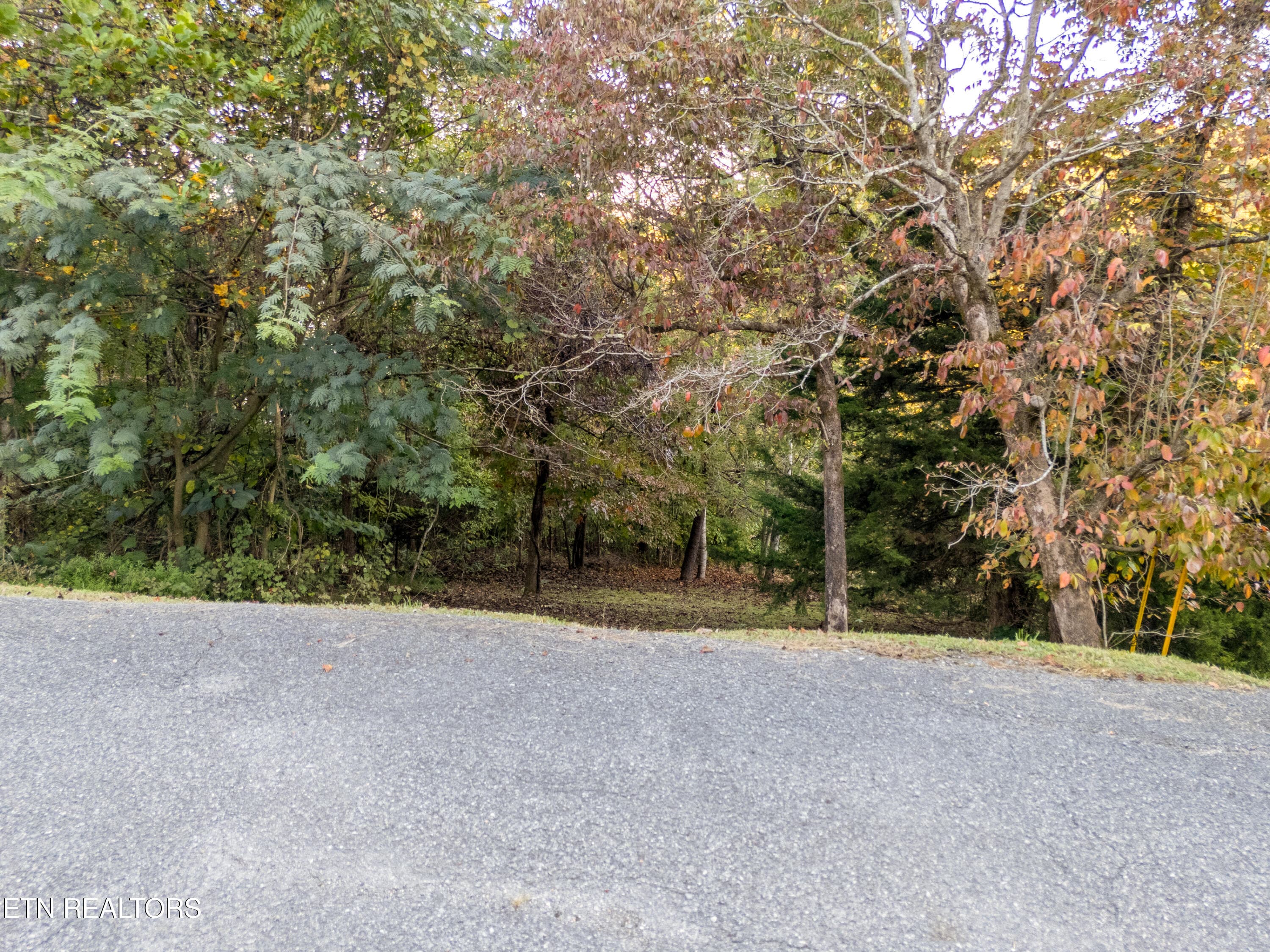 shanghai way lot 13-9 - Shanghai Way Lane, LaFollette, TN 37766, LaFollette