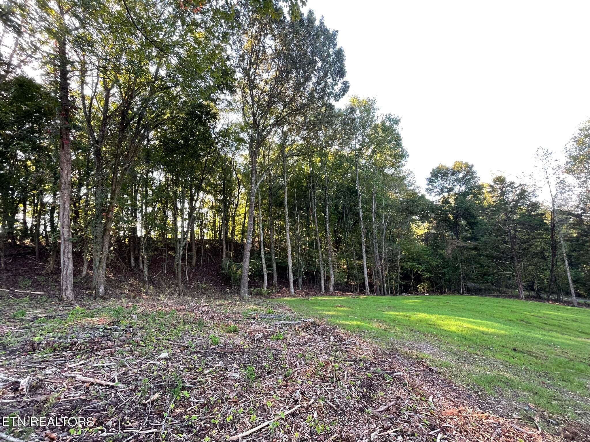 IMG_1379 - Williams Bend Rd Lot 2, Knoxville, TN 37932