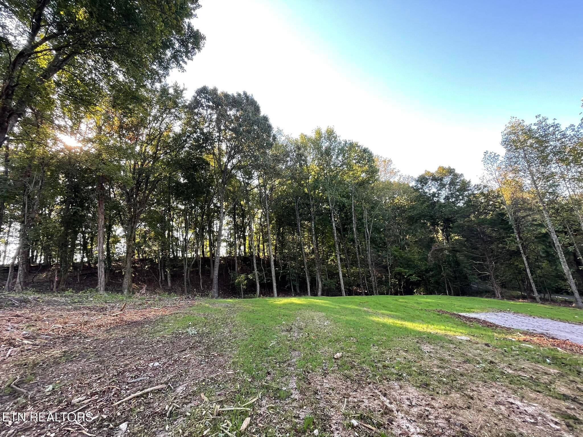 IMG_1381 - Williams Bend Rd Lot 2, Knoxville, TN 37932