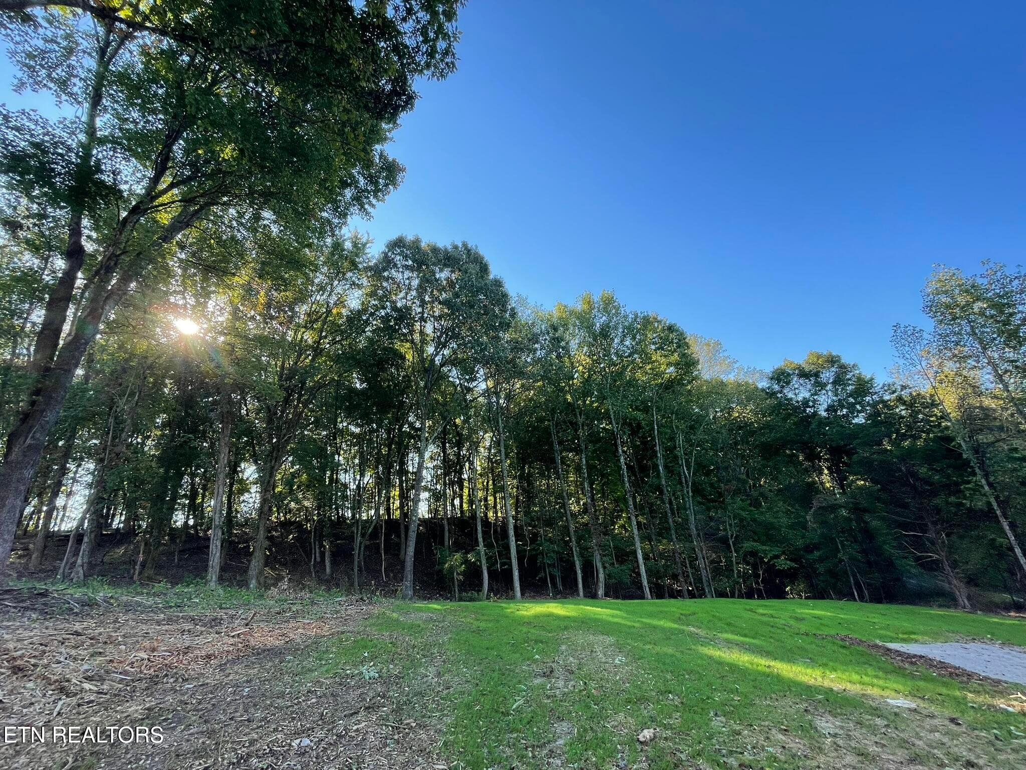 IMG_1382 - Williams Bend Rd Lot 2, Knoxville, TN 37932