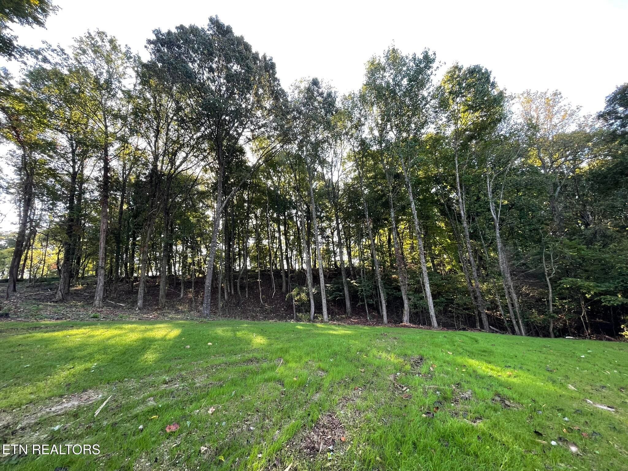 IMG_1387 - Williams Bend Rd Lot 2, Knoxville, TN 37932