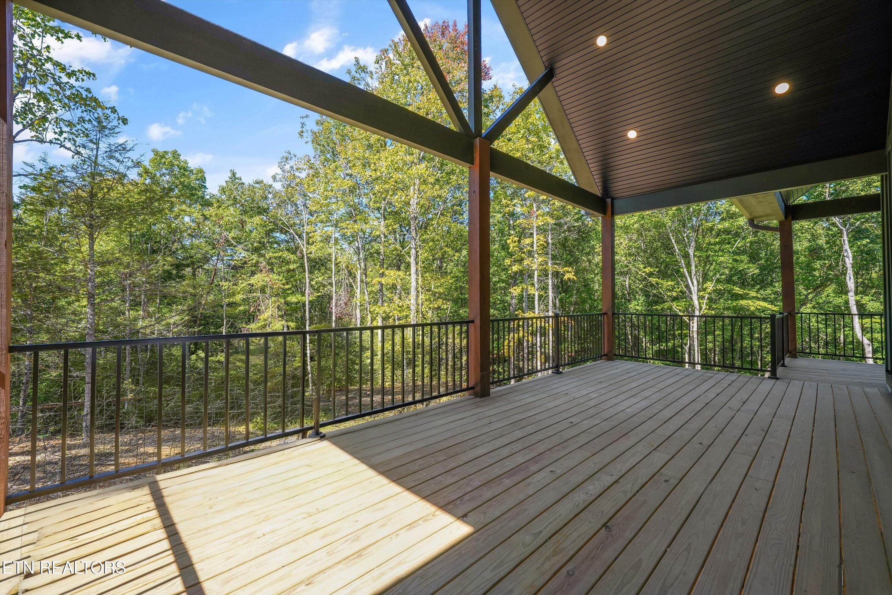 29-438 Hawken Dr24 - 438 Hawken Drive, Walland, TN 37886, Walland