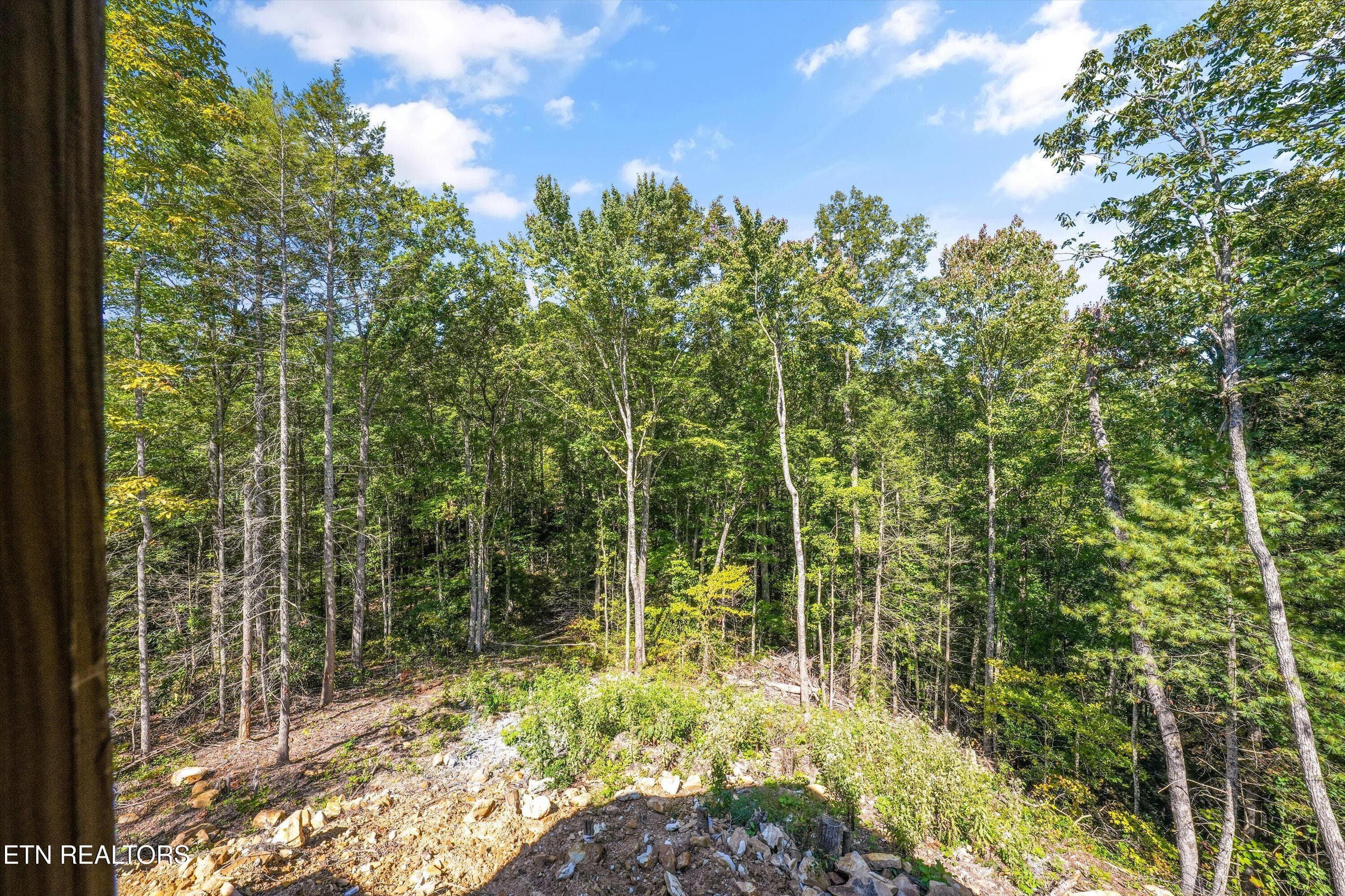 35-438 Hawken Dr29 - 438 Hawken Drive, Walland, TN 37886, Walland