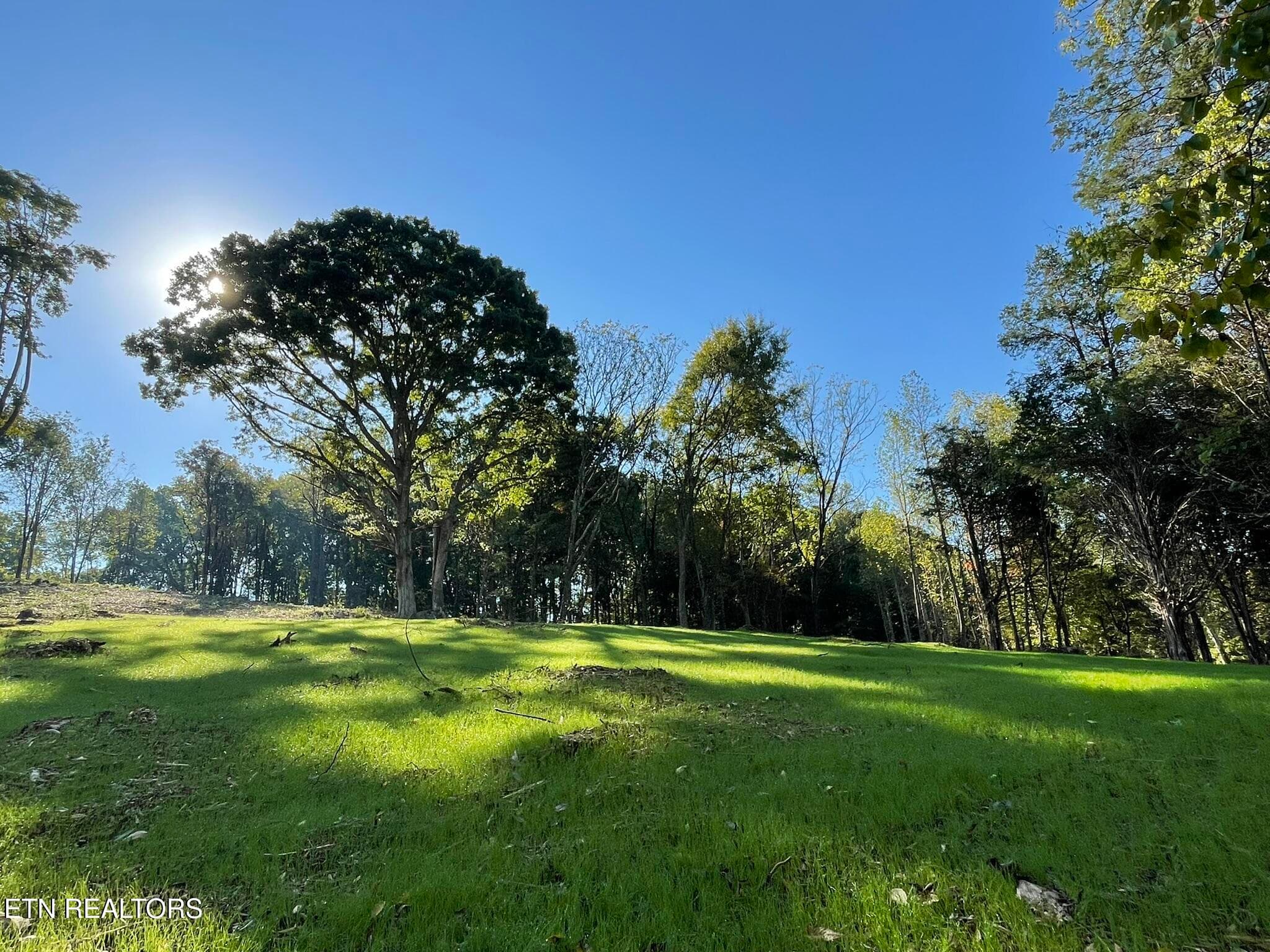 Williams Bend Rd Lot 1, Knoxville, TN 37932
