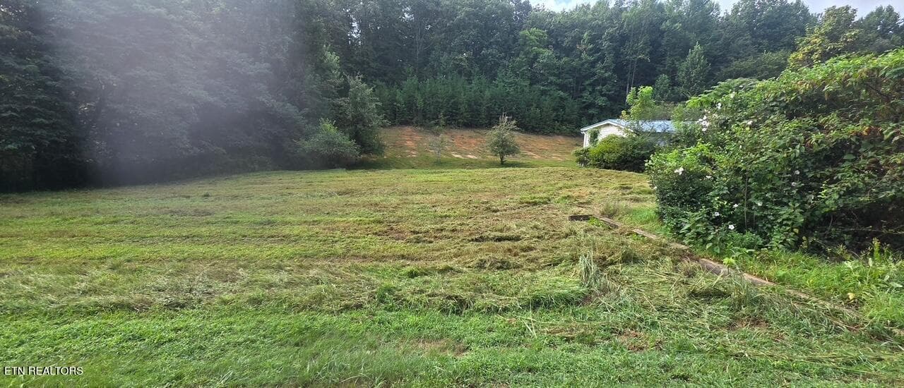 8358 - 106 Black Hollow Rd, Rockwood, TN 37854, Rockwood