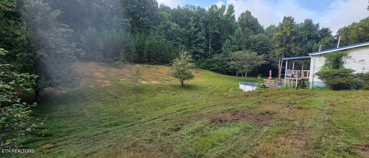8360 - 106 Black Hollow Rd, Rockwood, TN 37854, Rockwood