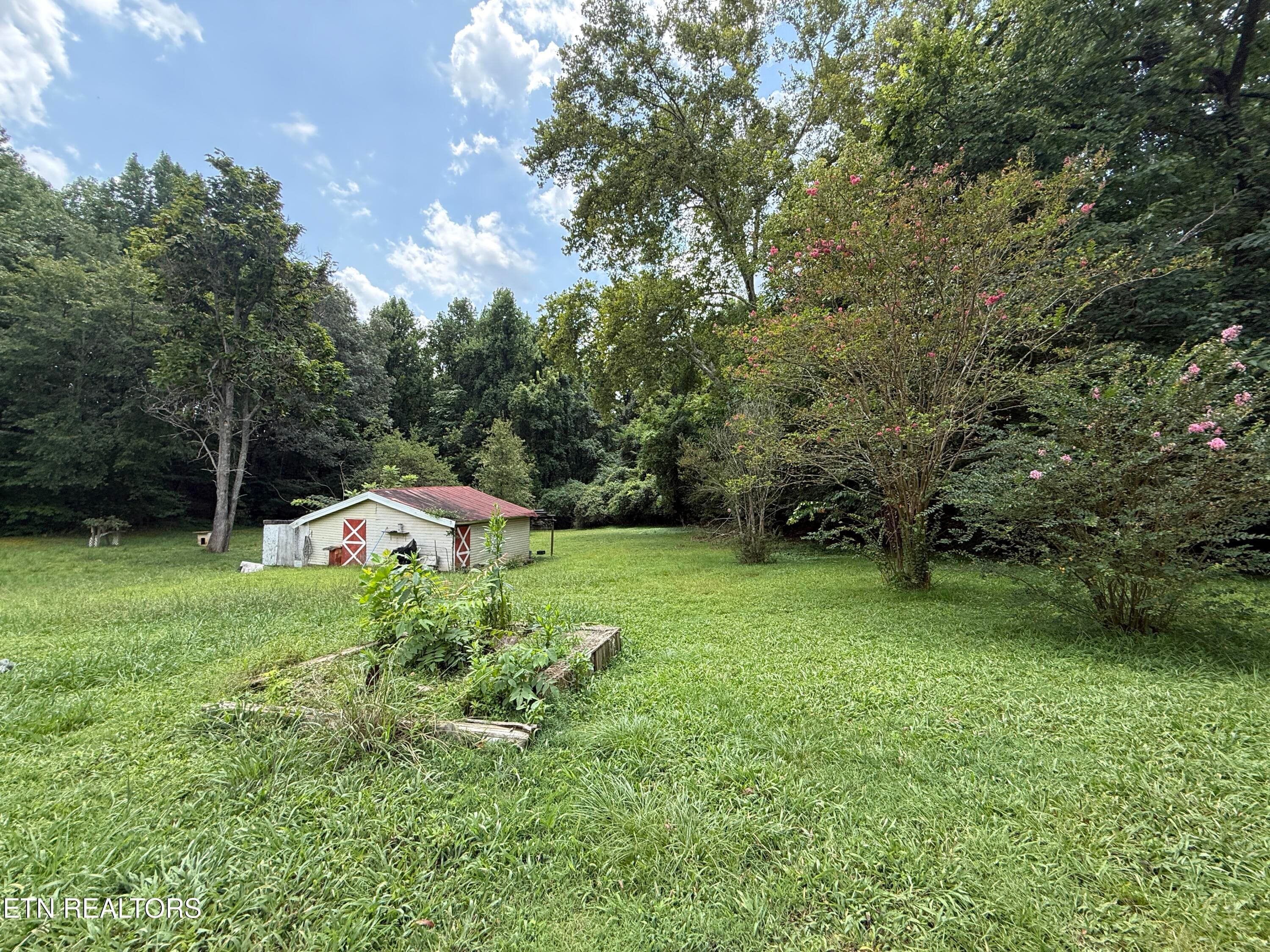 IMG_5528 - 106 Black Hollow Rd, Rockwood, TN 37854, Rockwood