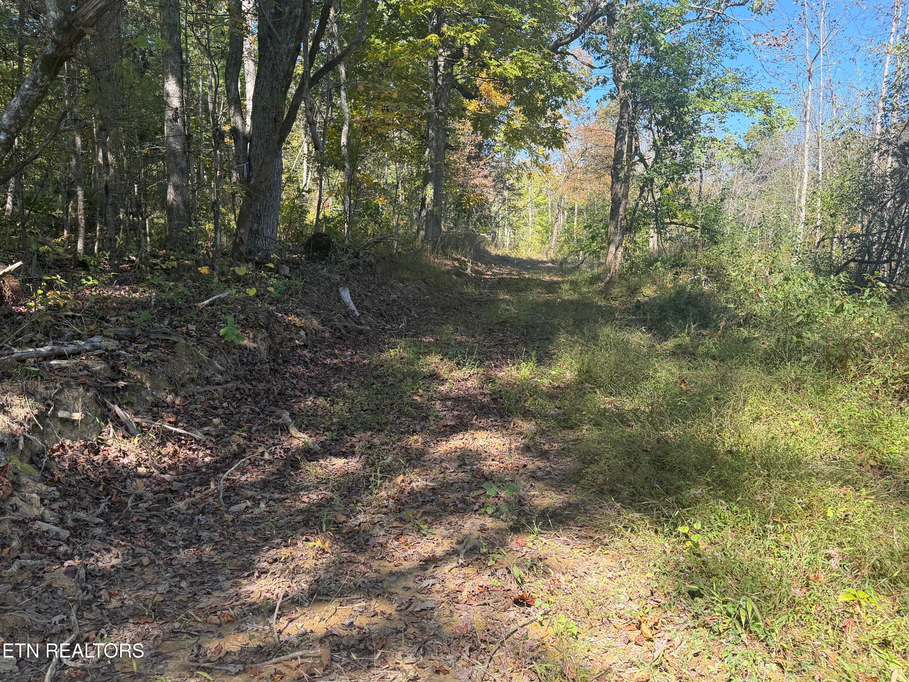 26.97 Acre Mt Helen Rd, Allardt, TN 38504