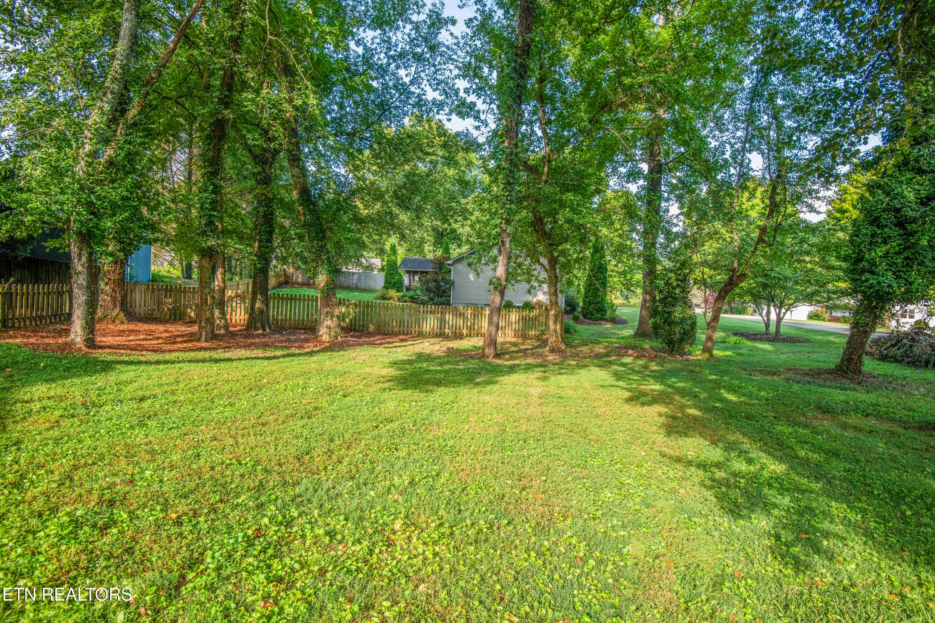yard 11_1 - 6812 Westland Drive, Knoxville, TN 37919, Knoxville