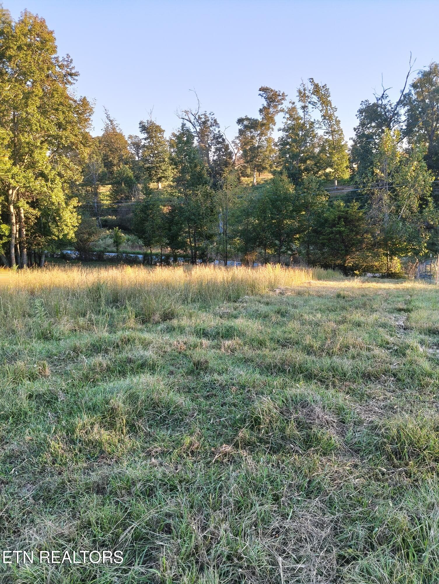 1000001529 - 2764 Oakland Rd, Philadelphia, TN 37846, Philadelphia