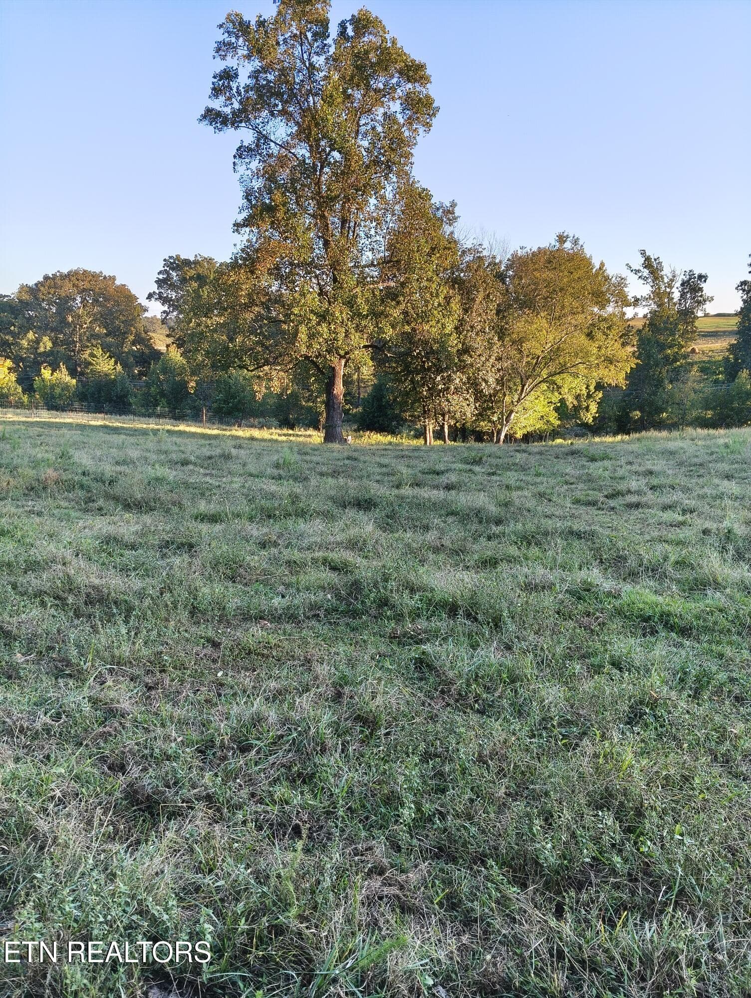 1000001515 - 2764 Oakland Rd, Philadelphia, TN 37846, Philadelphia