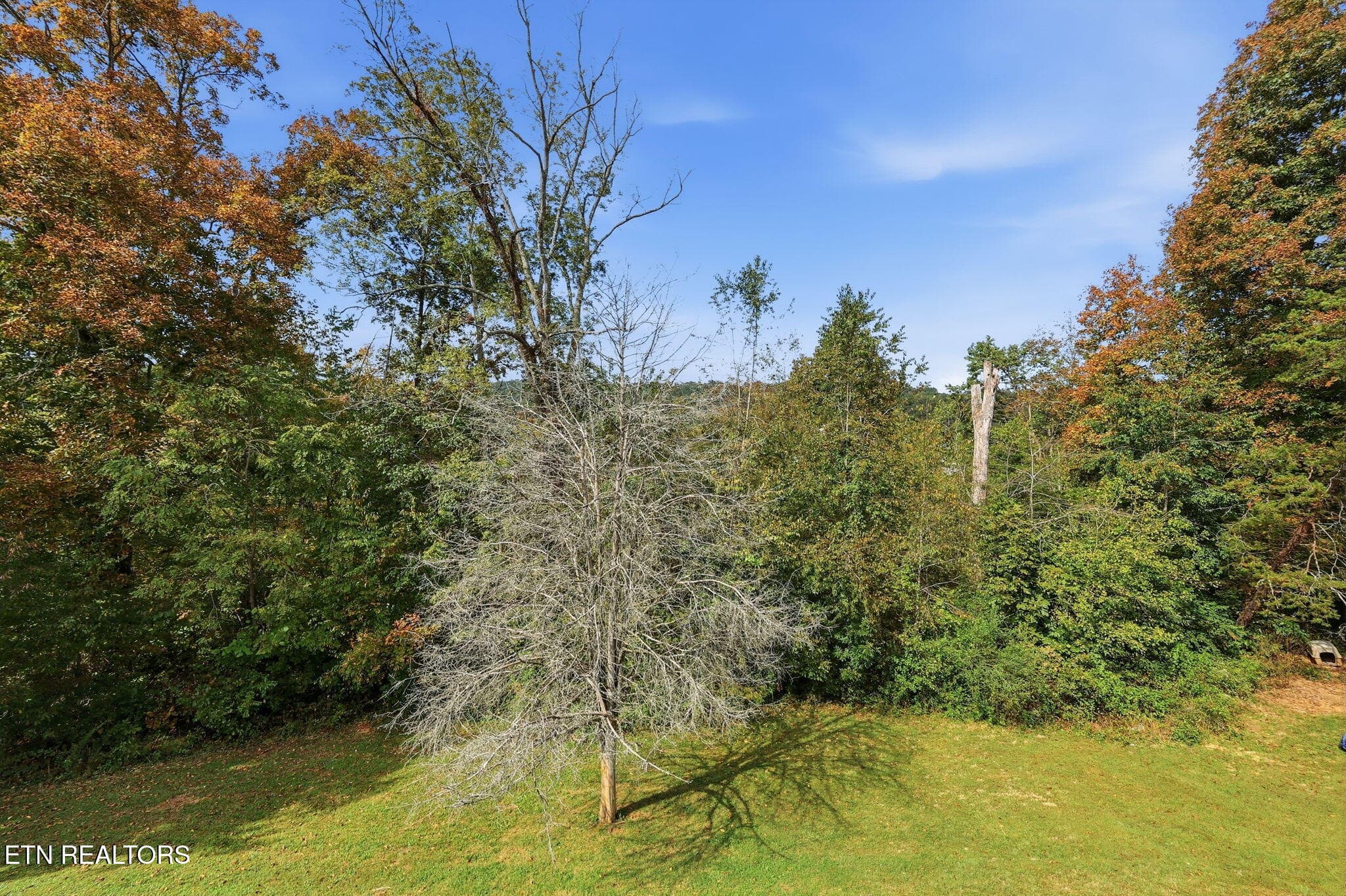26-web-or-mls-026_133Christina - 133 Christina Circle, Maynardville, TN 37807