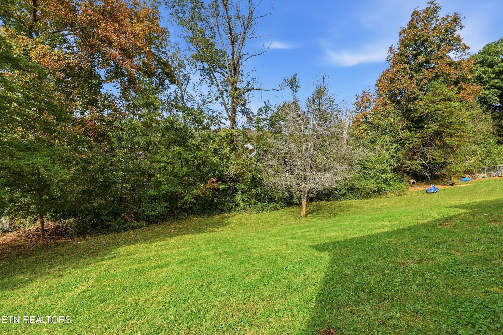 27-web-or-mls-027_133Christina - 133 Christina Circle, Maynardville, TN 37807