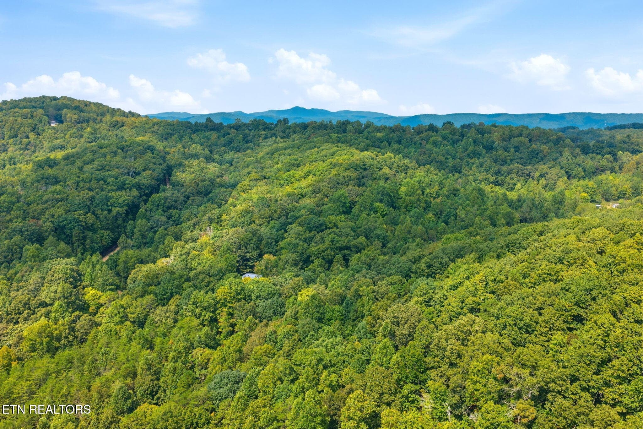 7-web-or-mls-006_DJI_20260916124734_0826 - Young Rd, LaFollette, TN 37729, LaFollette
