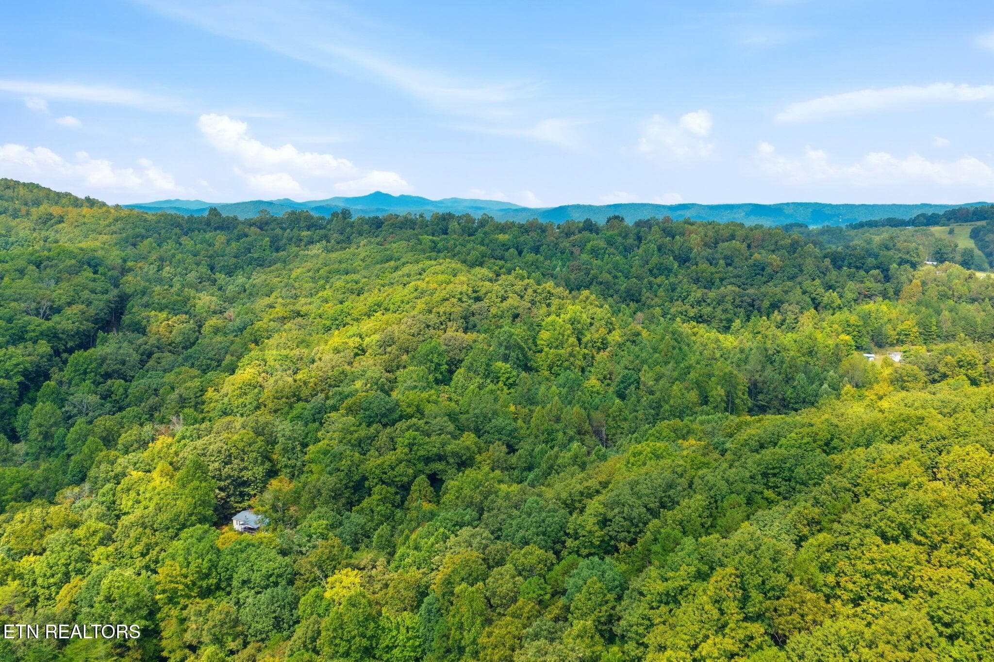 8-web-or-mls-007_DJI_20260916124742_0829 - Young Rd, LaFollette, TN 37729, LaFollette