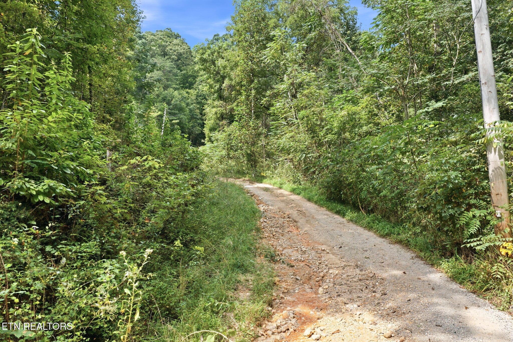 11-web-or-mls-010_DJI_20260916125043_083 - Young Rd, LaFollette, TN 37729, LaFollette