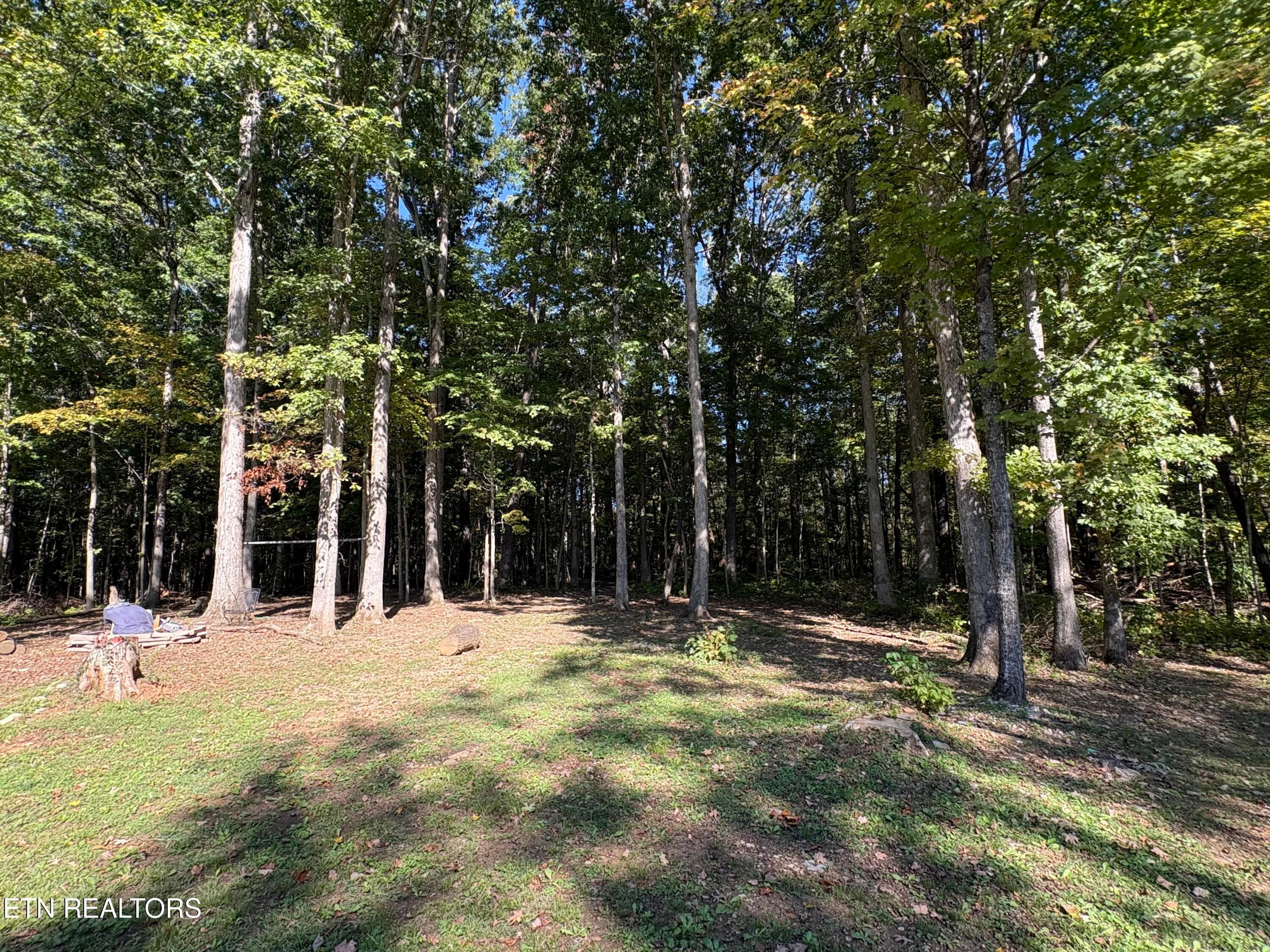 Wooded Back Yard - 6104 Roberts Rd, Corryton, TN 37721, Corryton