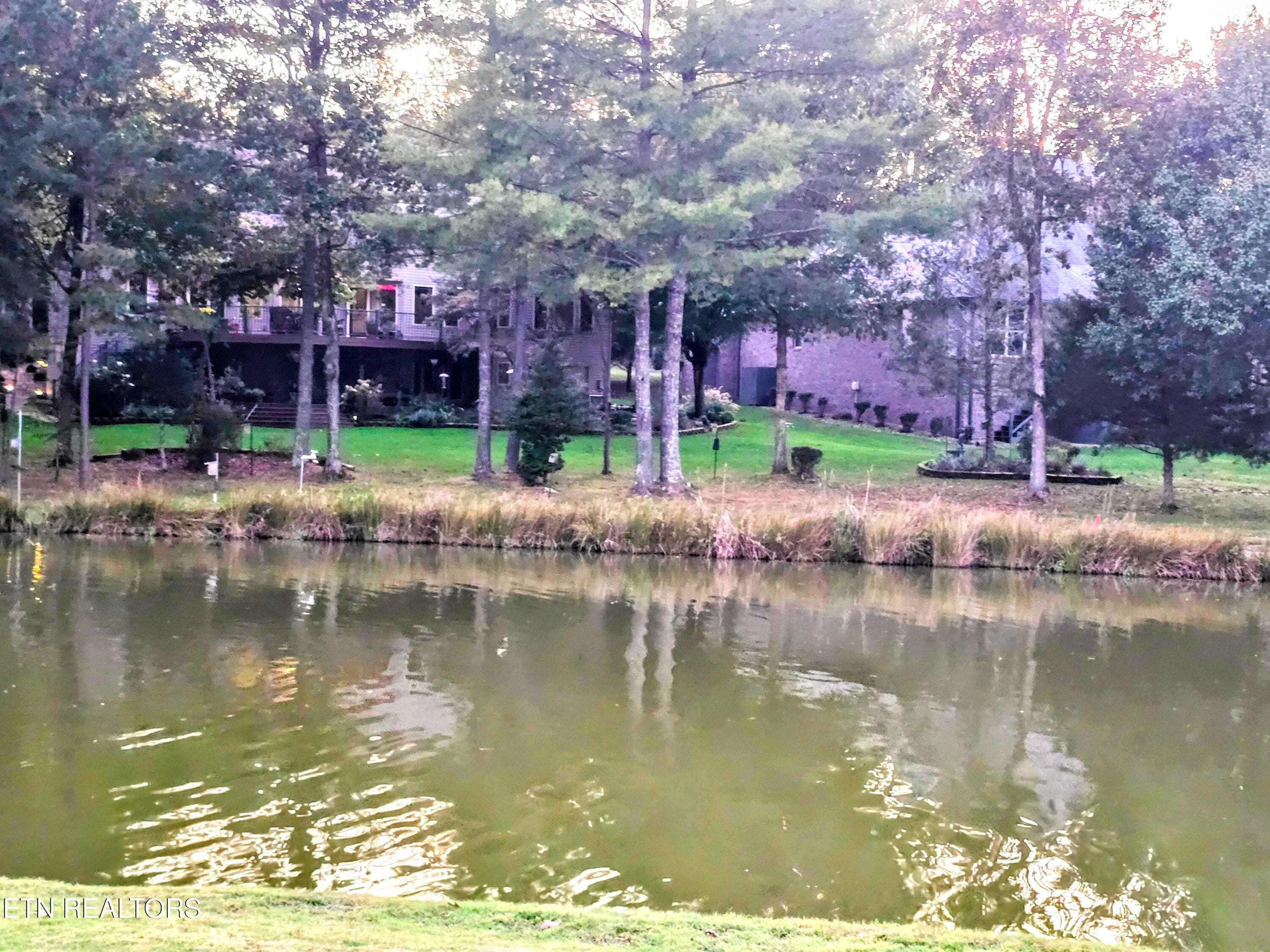 BACK OF HOUSE FROM POND - 207 Forest Hill Drive, Crossville, TN 38558, Crossville