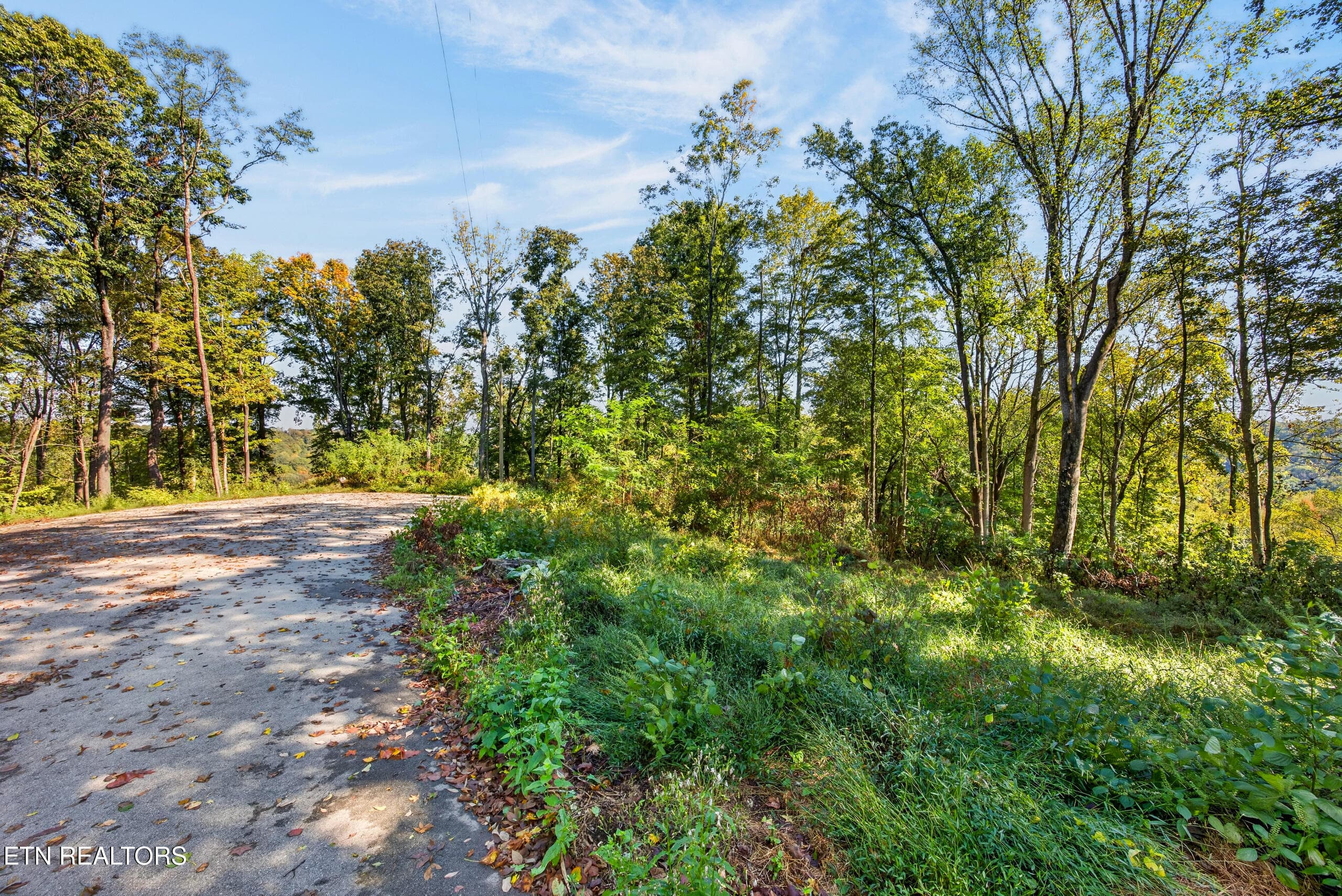009_8N5A0728 - Lot 10 Back Ranch Drive, Silver Point, TN 38582, Silver Point