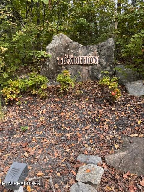 IMG_2918 - Tradition Lane lot 15, Sevierville, TN 37862, Sevierville