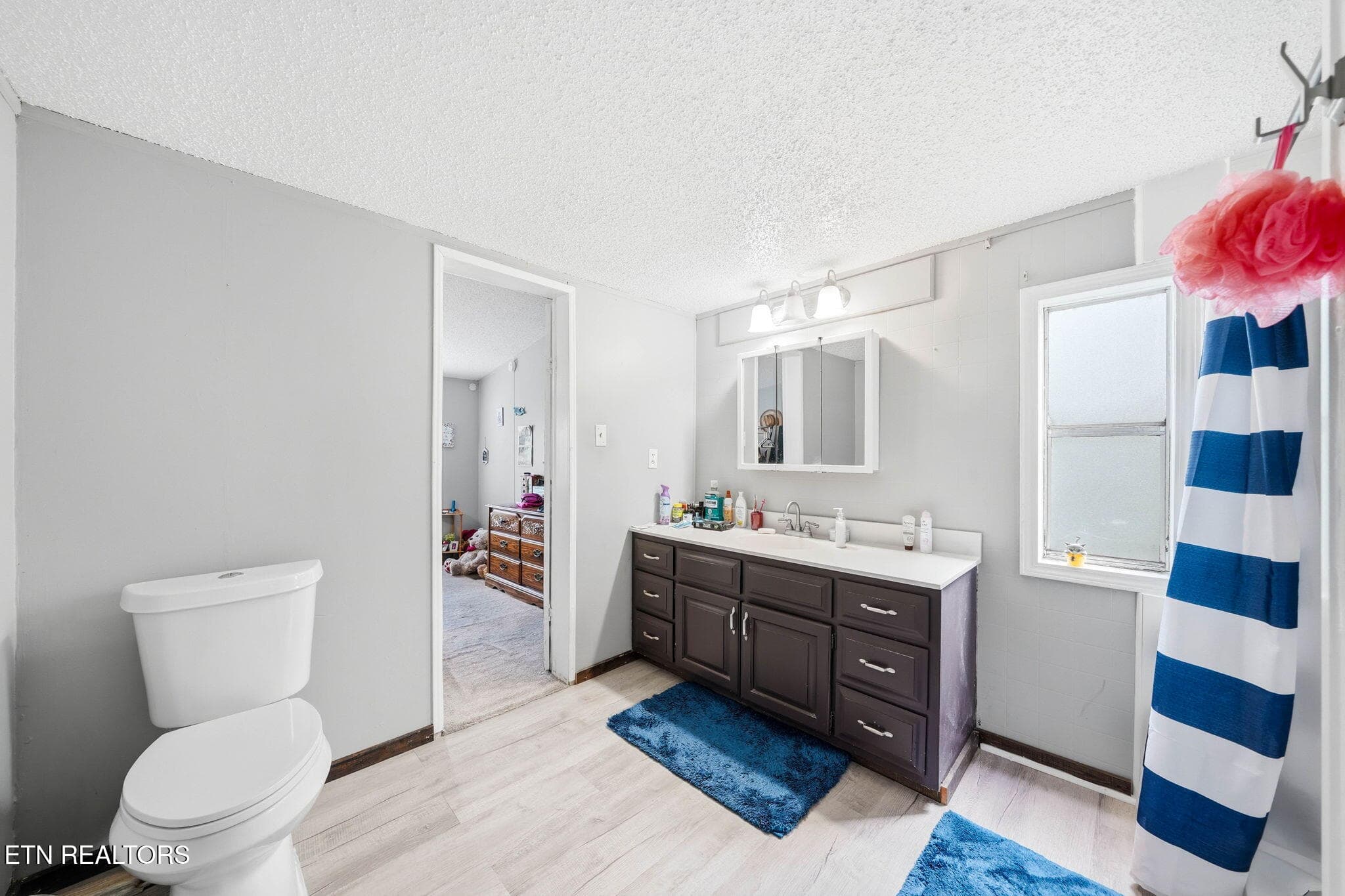 Master Bath 2 - 103 Bower Hollow Rd, Luttrell, TN 37779, Luttrell