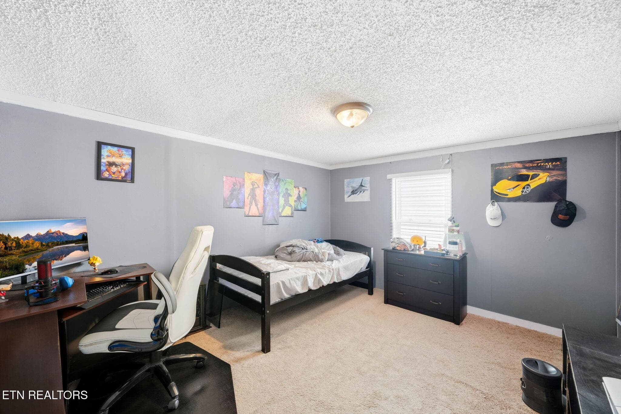 2nd Bedroom 1 - 103 Bower Hollow Rd, Luttrell, TN 37779, Luttrell