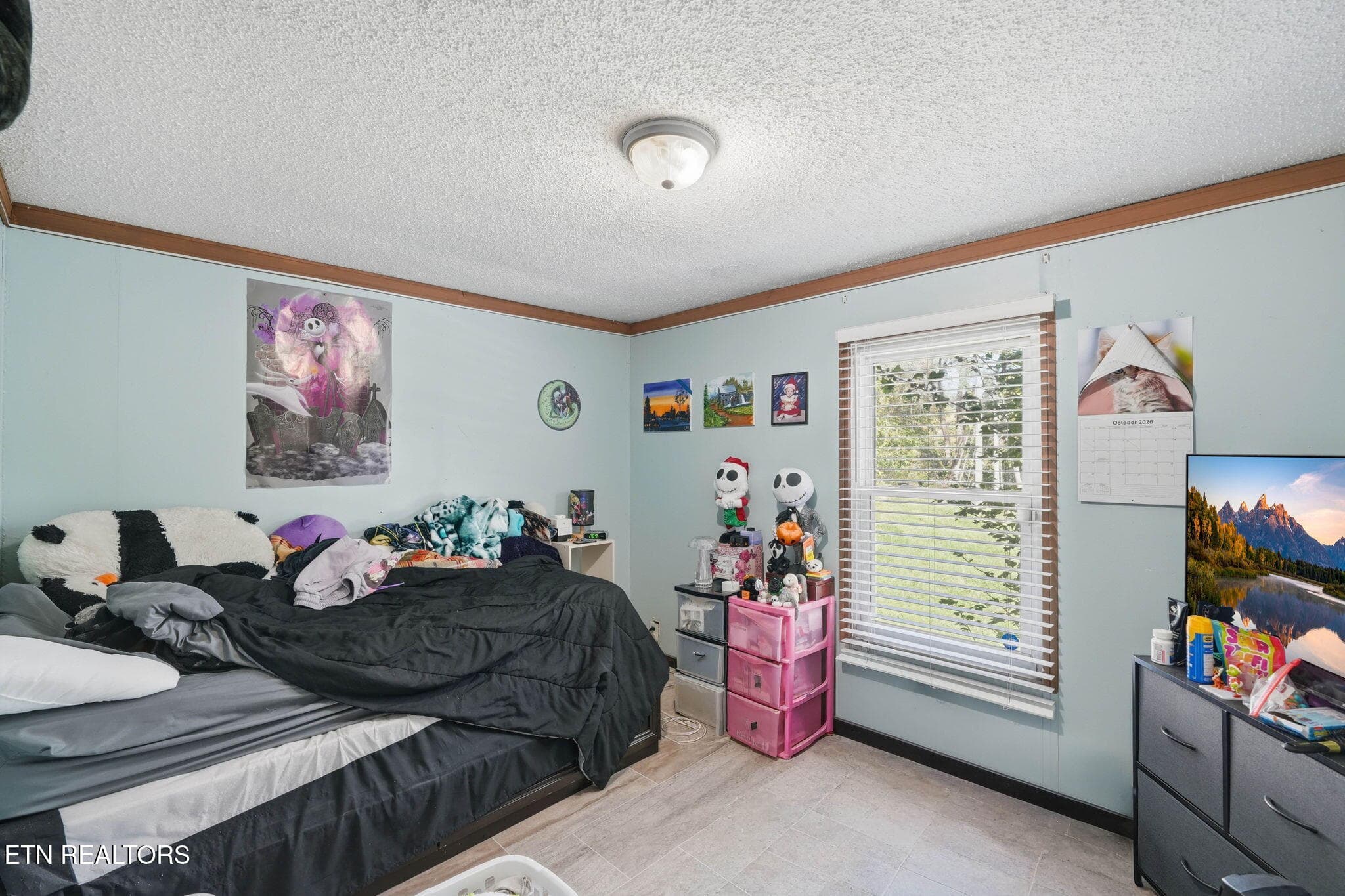 3rd Bedroom 1 - 103 Bower Hollow Rd, Luttrell, TN 37779, Luttrell