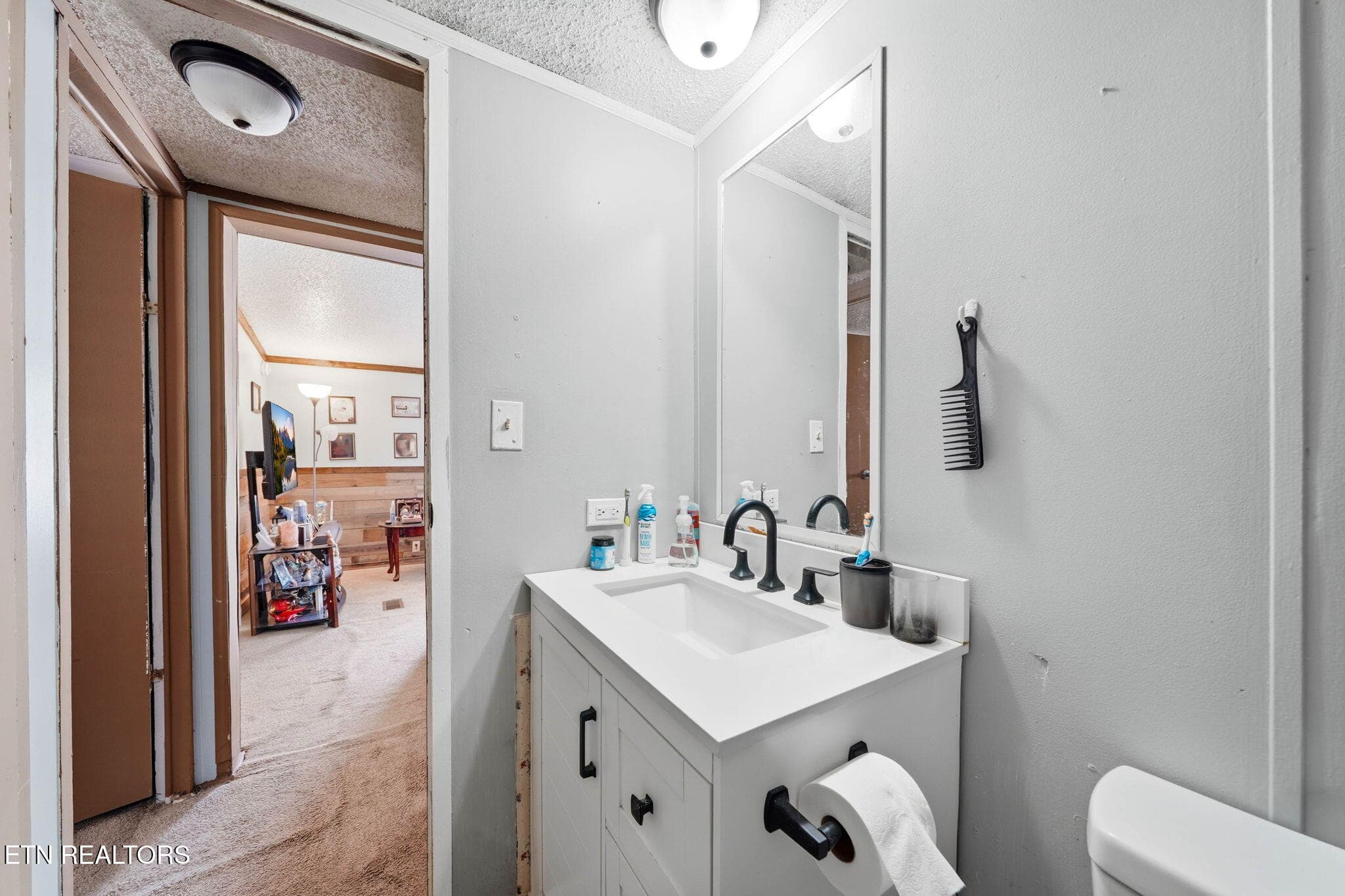 Guest Bath 2 - 103 Bower Hollow Rd, Luttrell, TN 37779, Luttrell