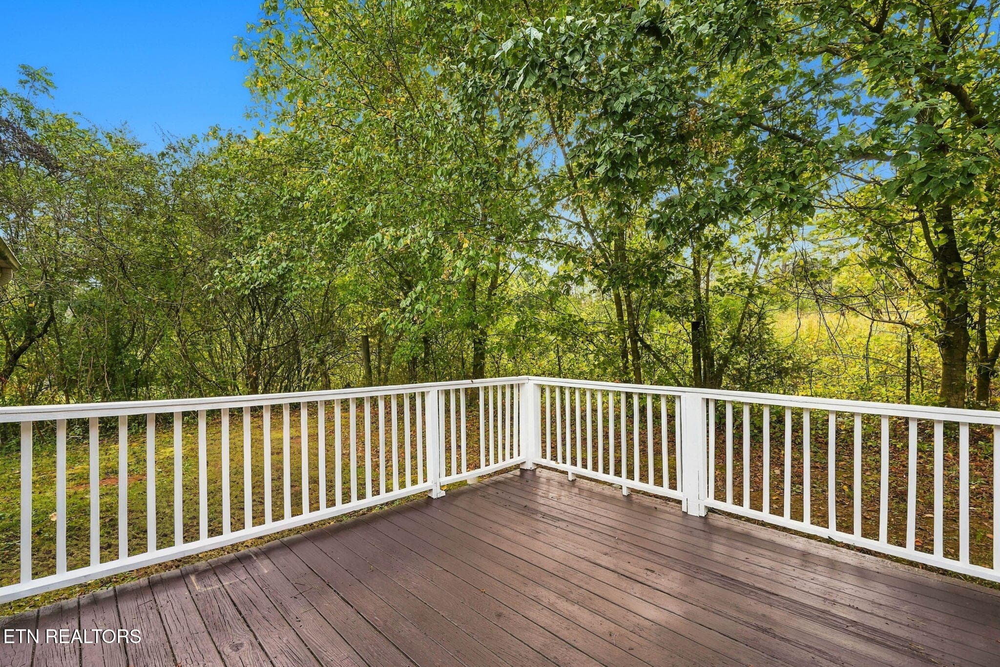Back Yard - 103 Bower Hollow Rd, Luttrell, TN 37779, Luttrell