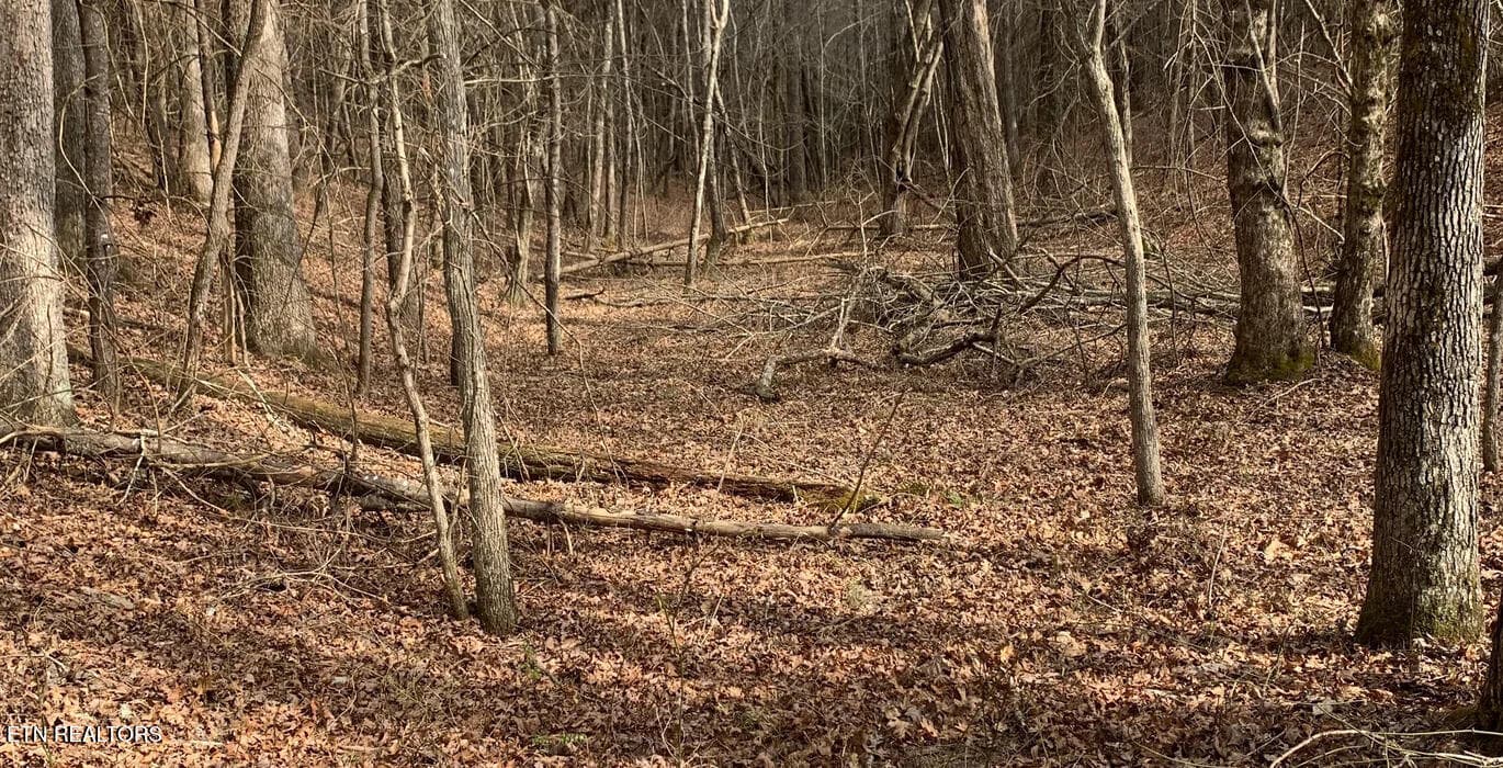 1293_2 - 154 Coon Creek Rd Rd, Sunbright, TN 37872