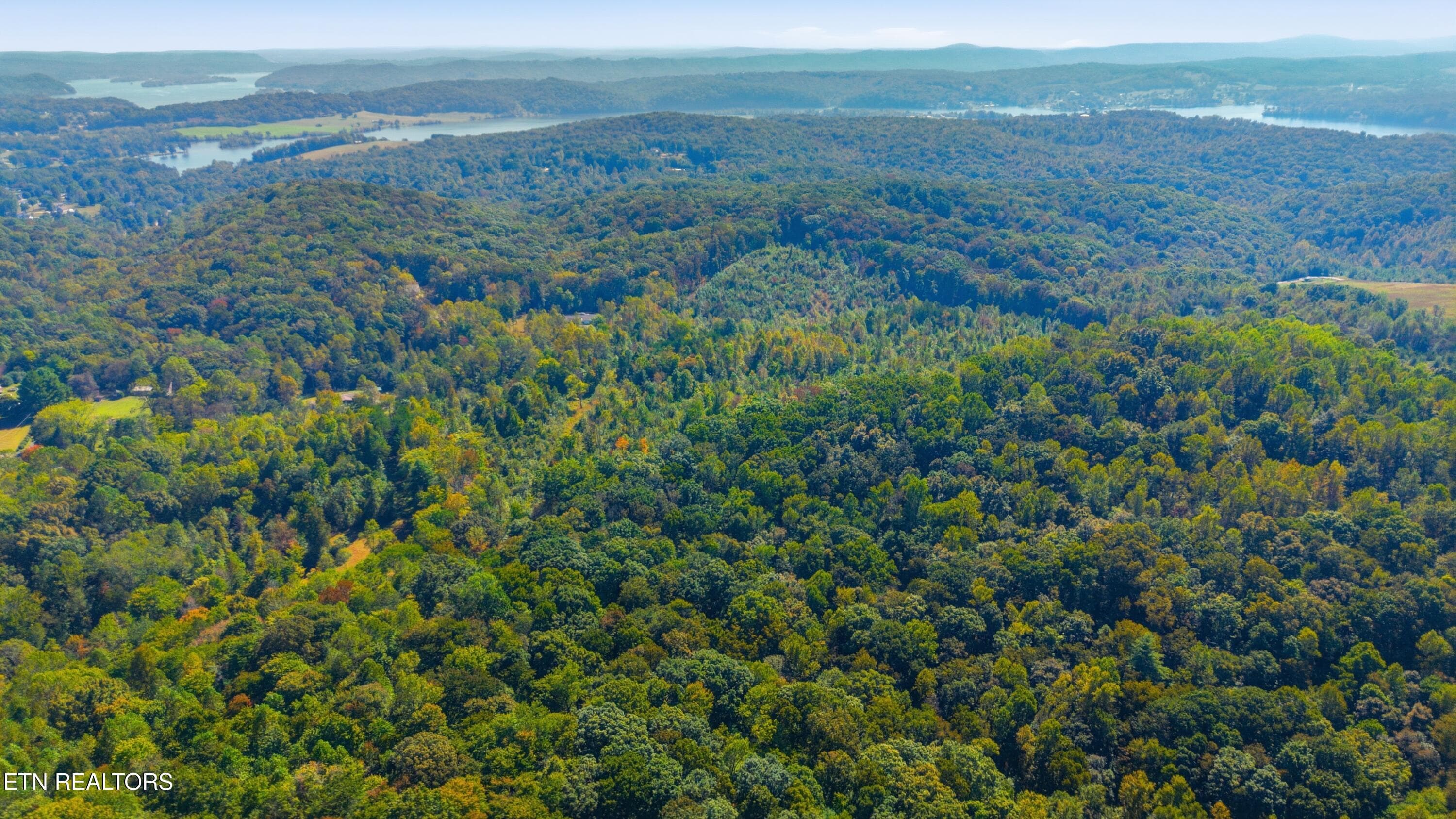 DJI_0903 - Casey Rd, Harriman, TN 37748, Harriman