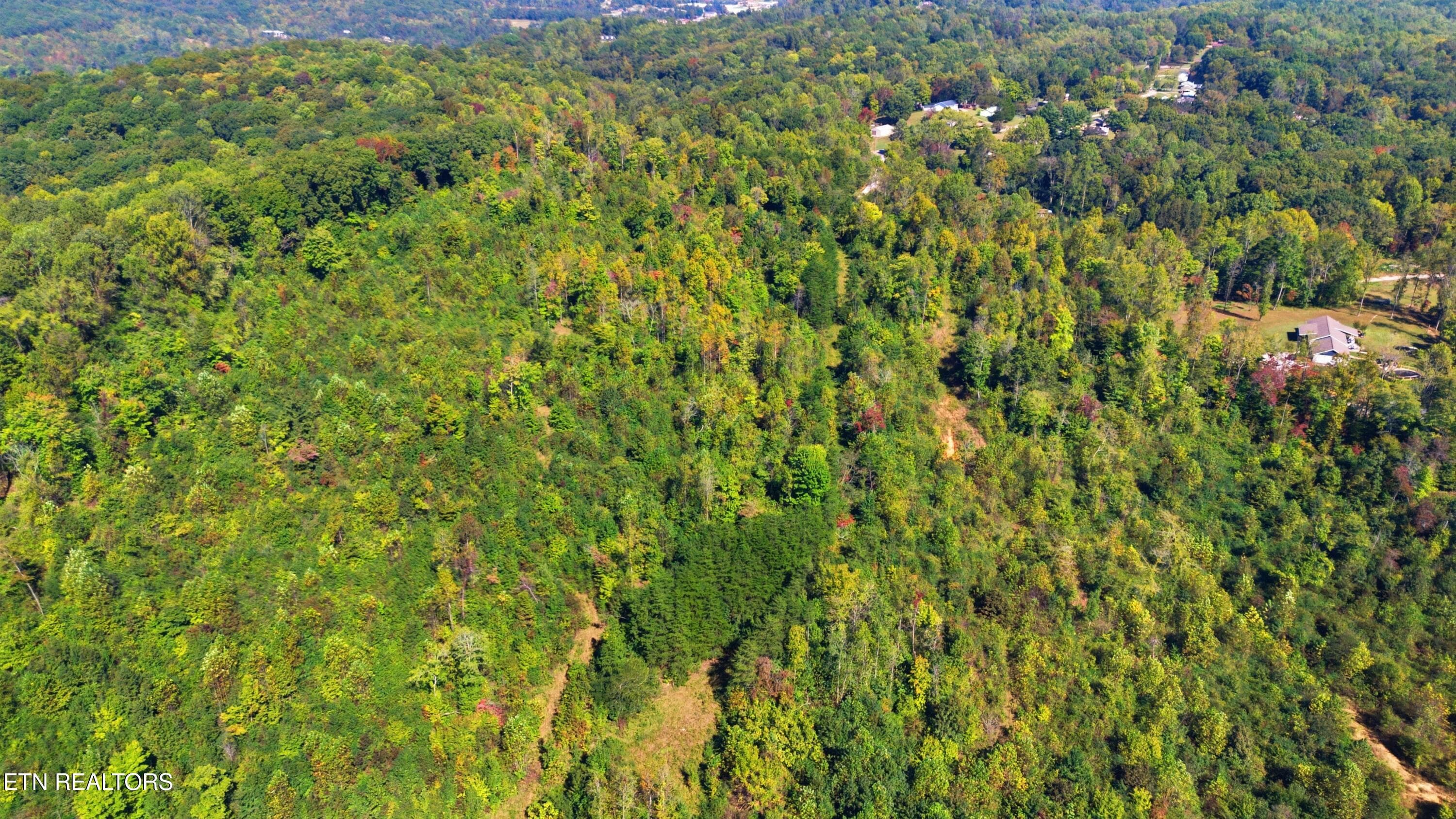 DJI_0906 - Casey Rd, Harriman, TN 37748, Harriman