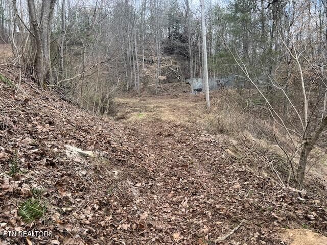 3071 Mica Way, Cosby, TN 37722