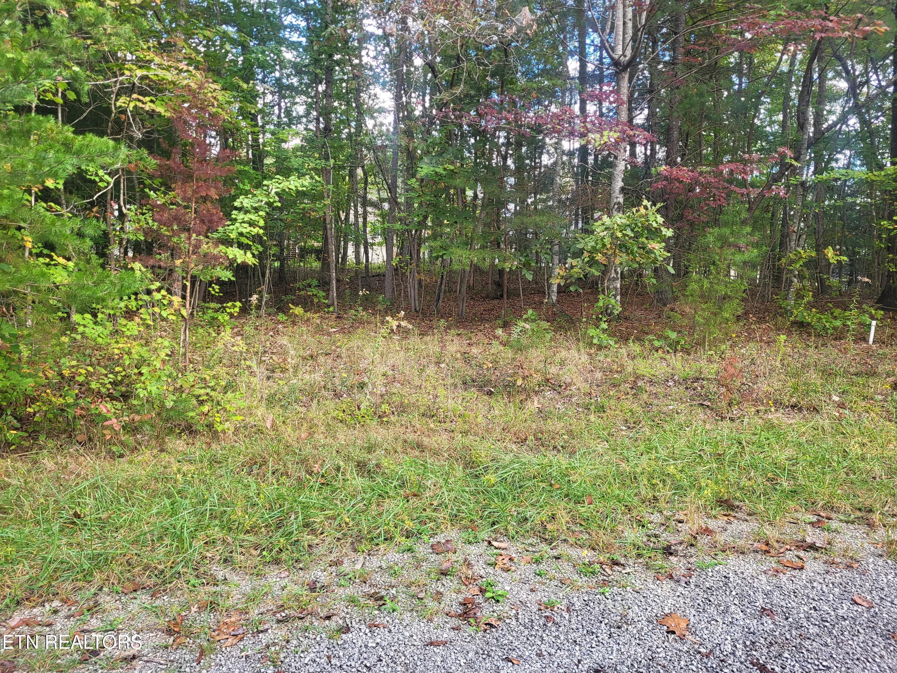 19 Appleby Court, Crossville, TN 38558