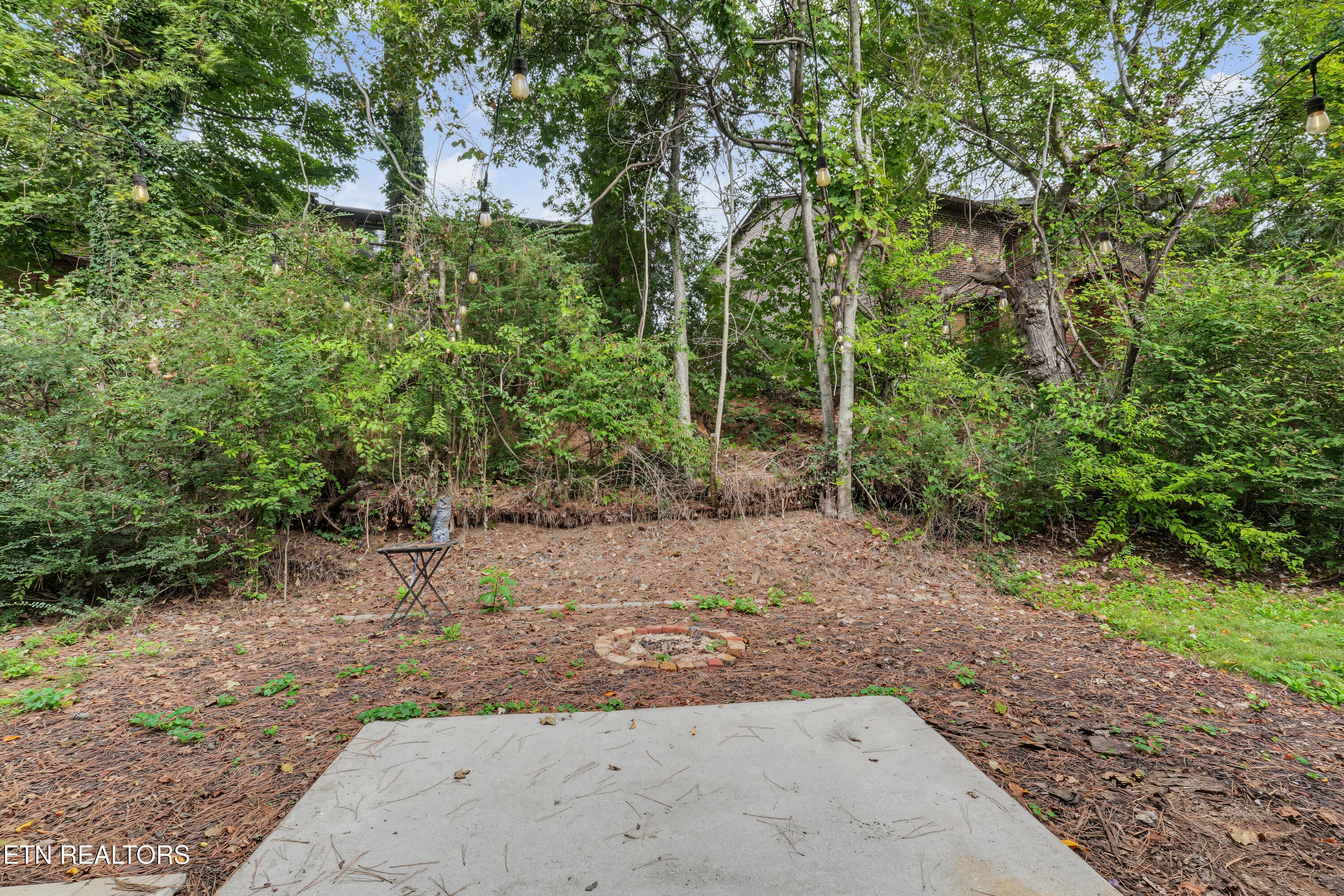 DSC07646-2 - 827 Blue Spruce Way, Knoxville, TN 37912