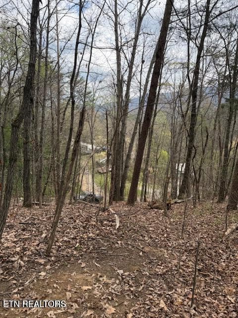 151 Hennessy Mountain Way, Cosby, TN 37722