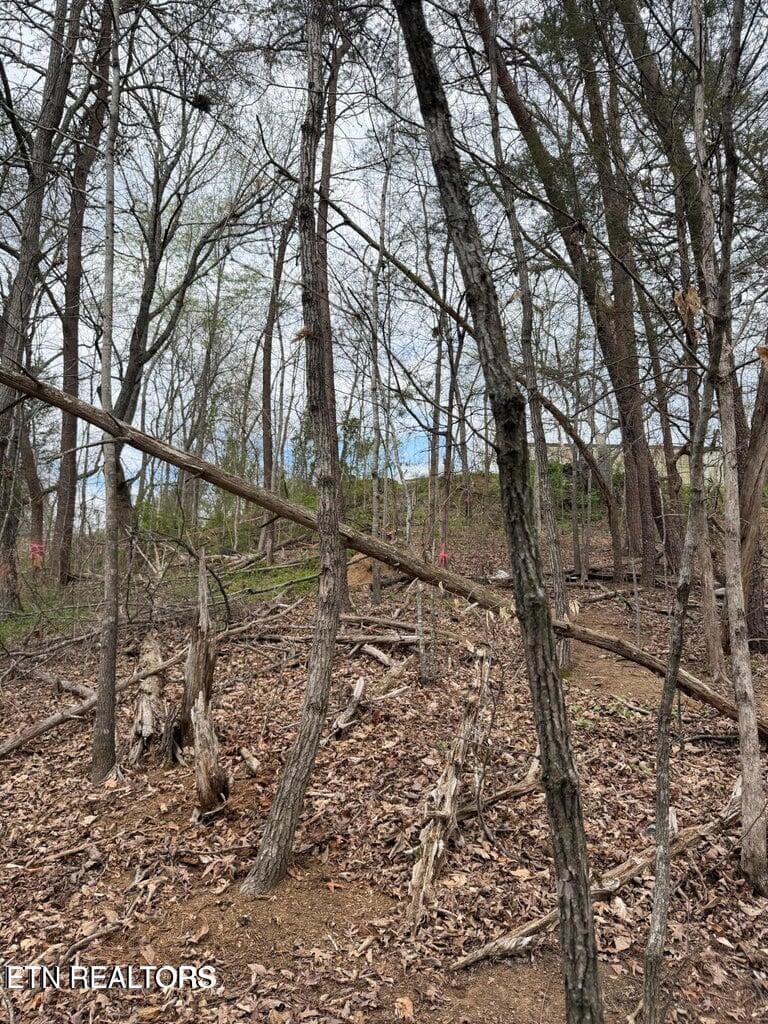 Hennessey Way 4 - 151 Hennessy Mountain Way, Cosby, TN 37722, Cosby