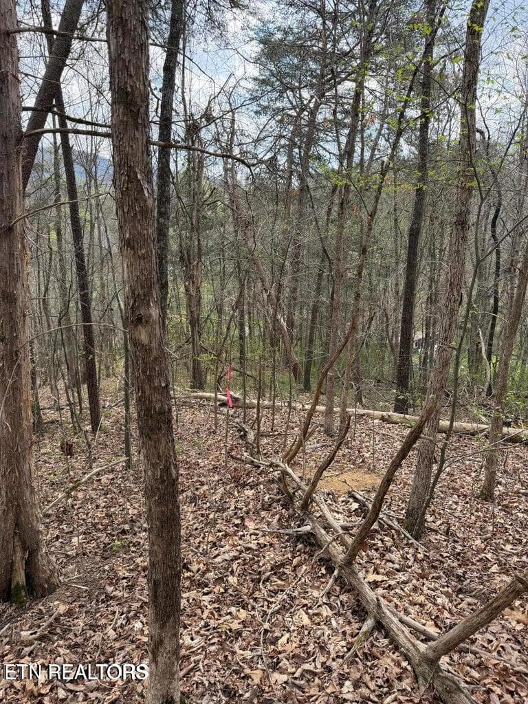 Hennessy Way 3 - 151 Hennessy Mountain Way, Cosby, TN 37722, Cosby