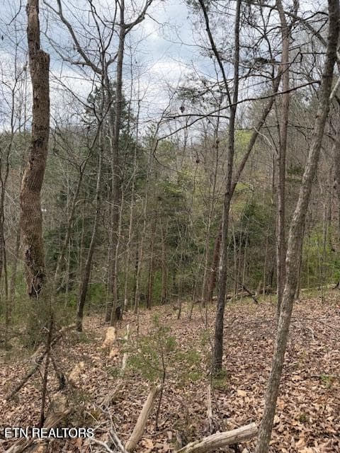Hennessy Way 2 - 151 Hennessy Mountain Way, Cosby, TN 37722, Cosby