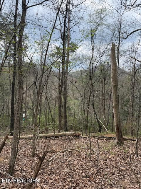 Hennsessy Way 1 - 151 Hennessy Mountain Way, Cosby, TN 37722, Cosby