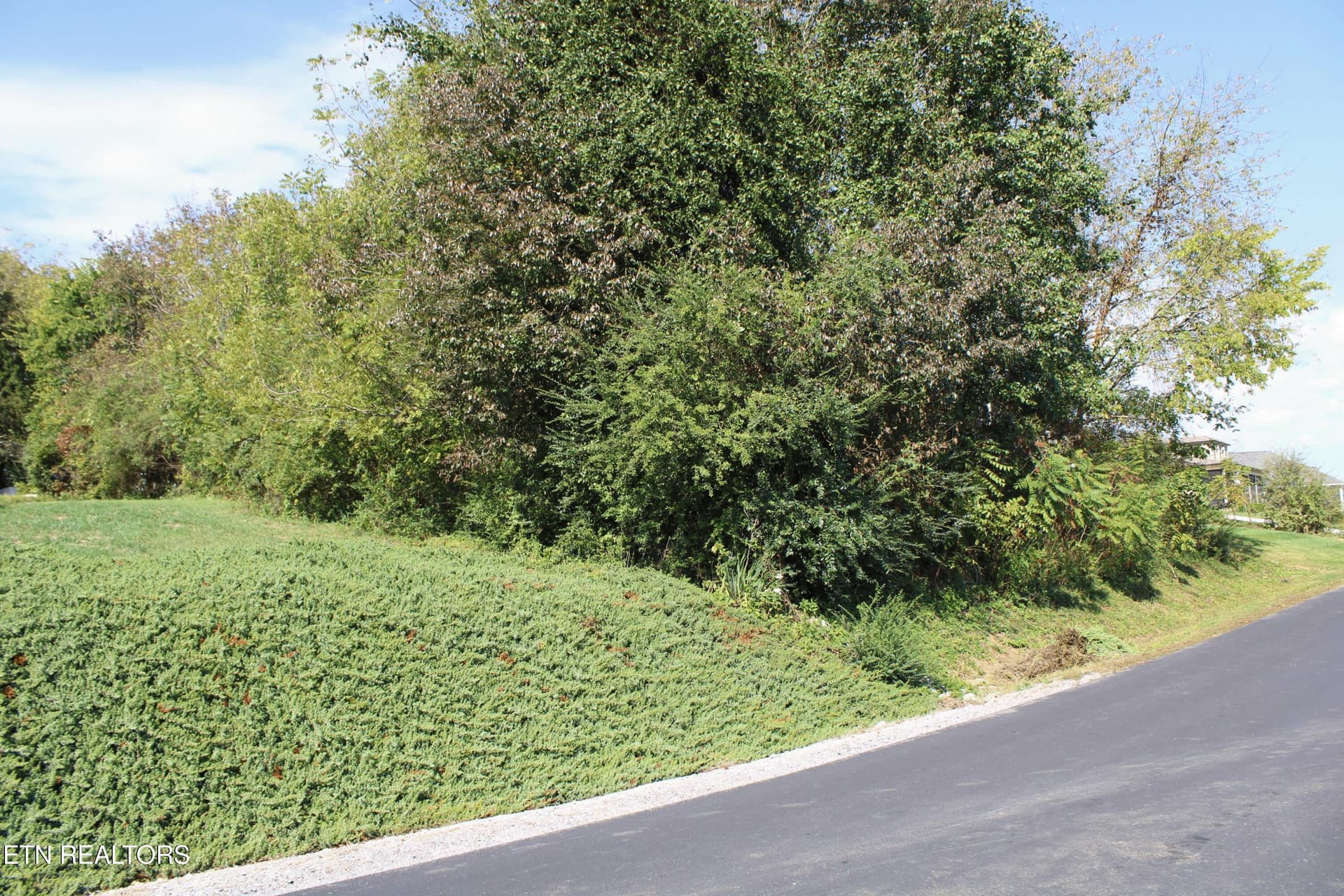 151 Oonoga Way, Loudon, TN 37774