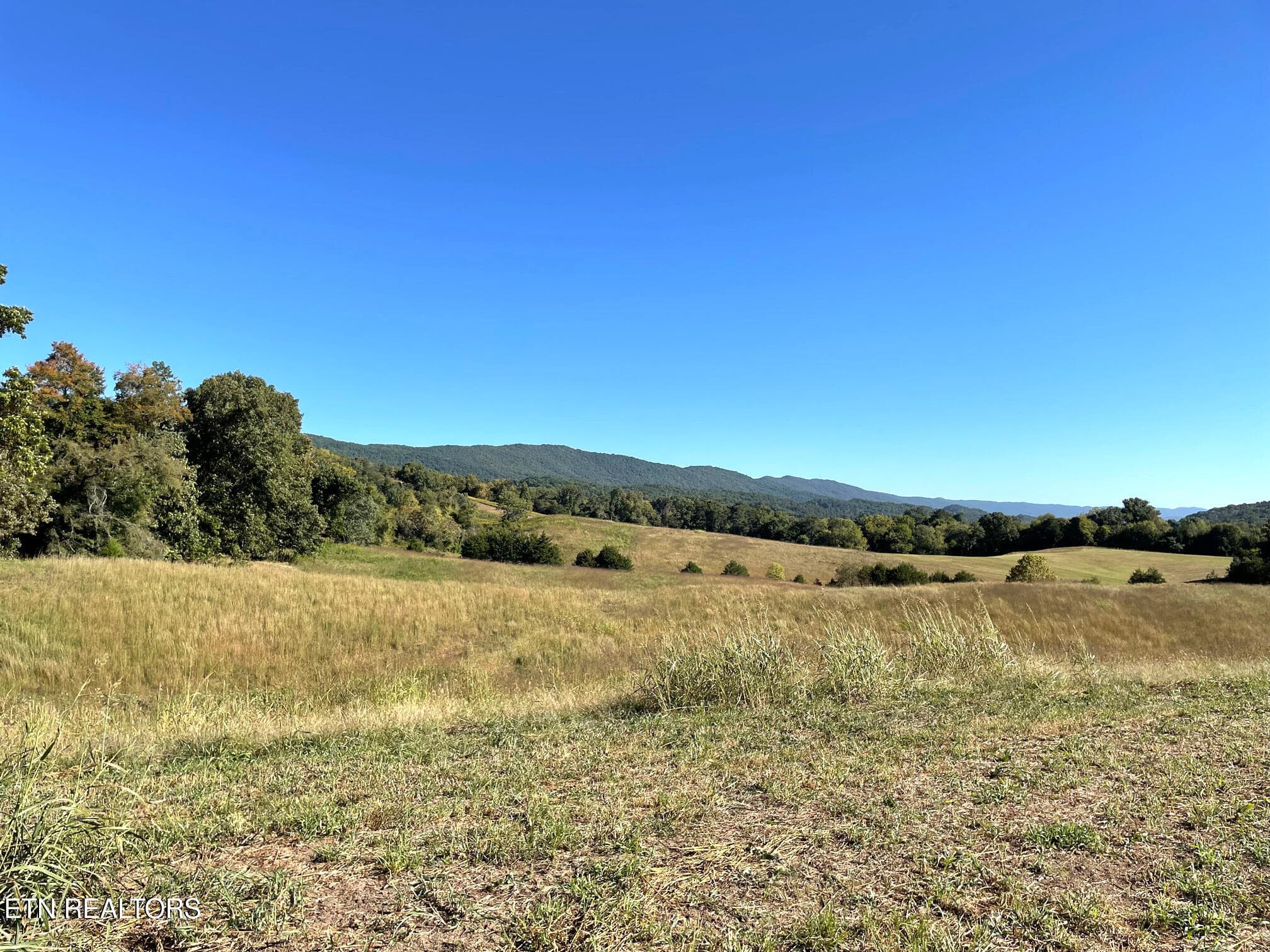 7_Acreage - 2233 Rutledge Pike, Blaine, TN 37709