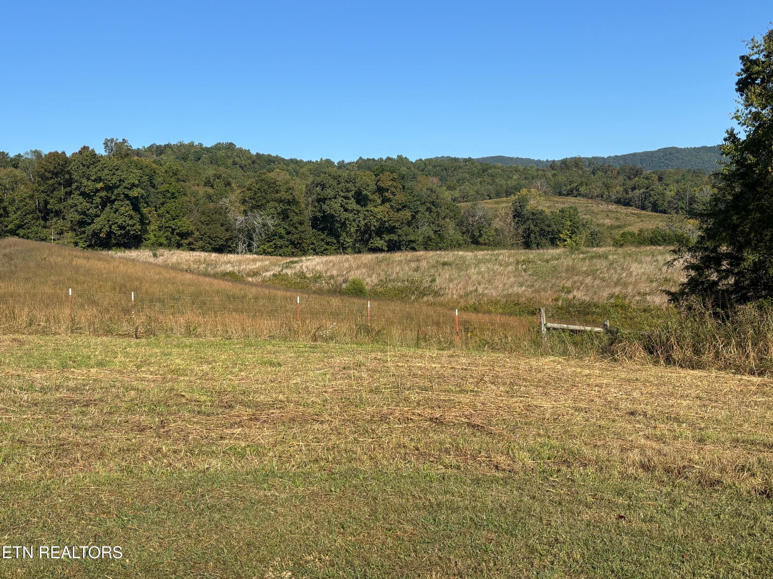 11_a_Acreage - 2233 Rutledge Pike, Blaine, TN 37709