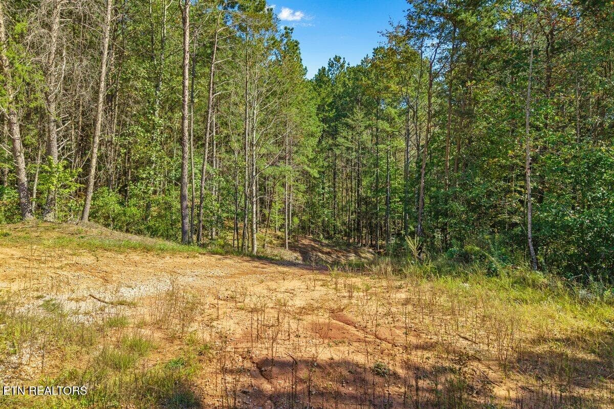 Mountain Air Lot 30-7 - 1979 Ballplay Rd, Madisonville, TN 37354, Madisonville