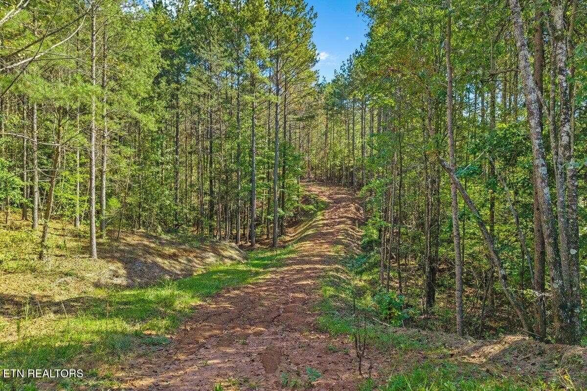 Mountain Air Lot 30-8 - 1979 Ballplay Rd, Madisonville, TN 37354, Madisonville