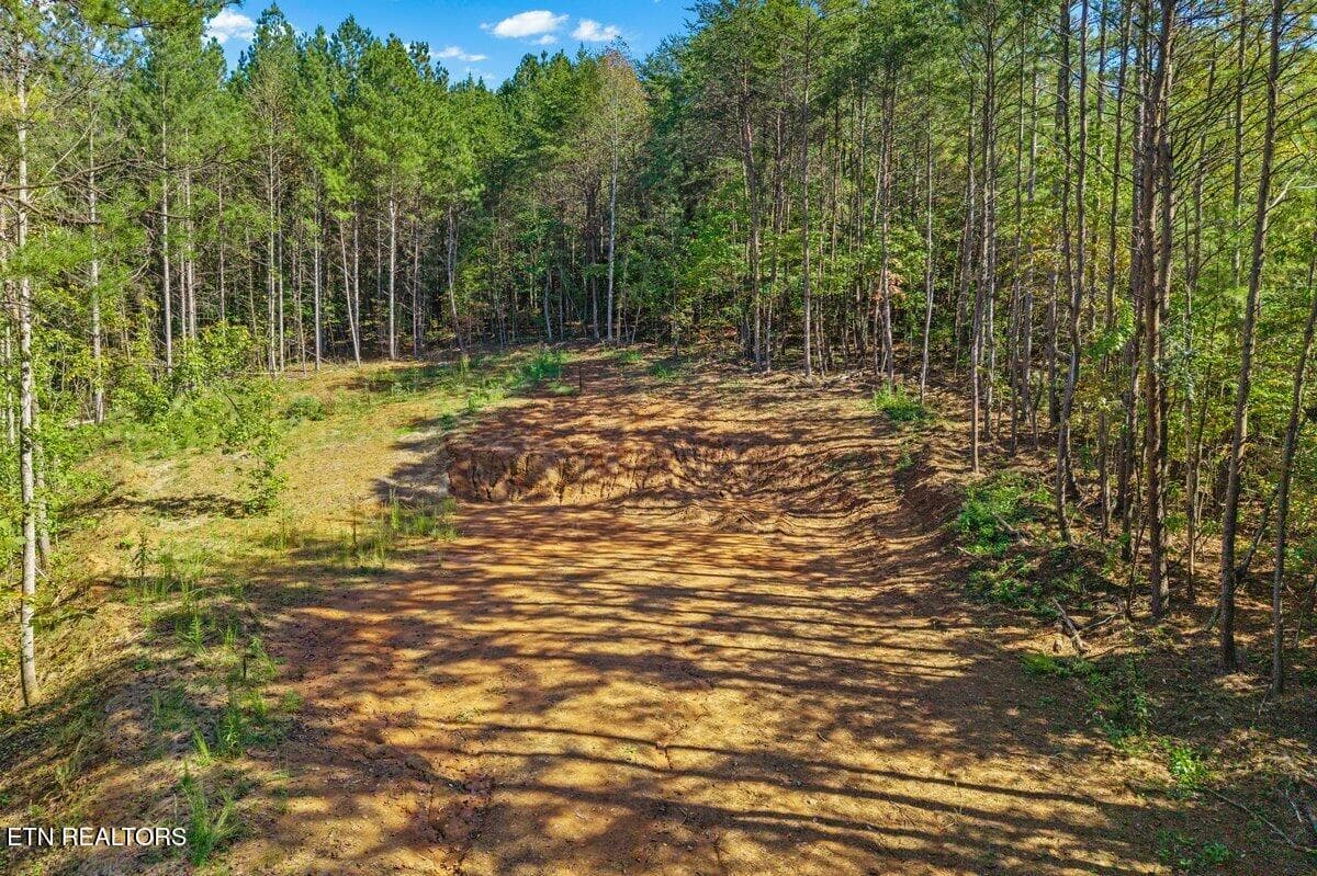 Mountain Air Lot 30-9 - 1979 Ballplay Rd, Madisonville, TN 37354, Madisonville