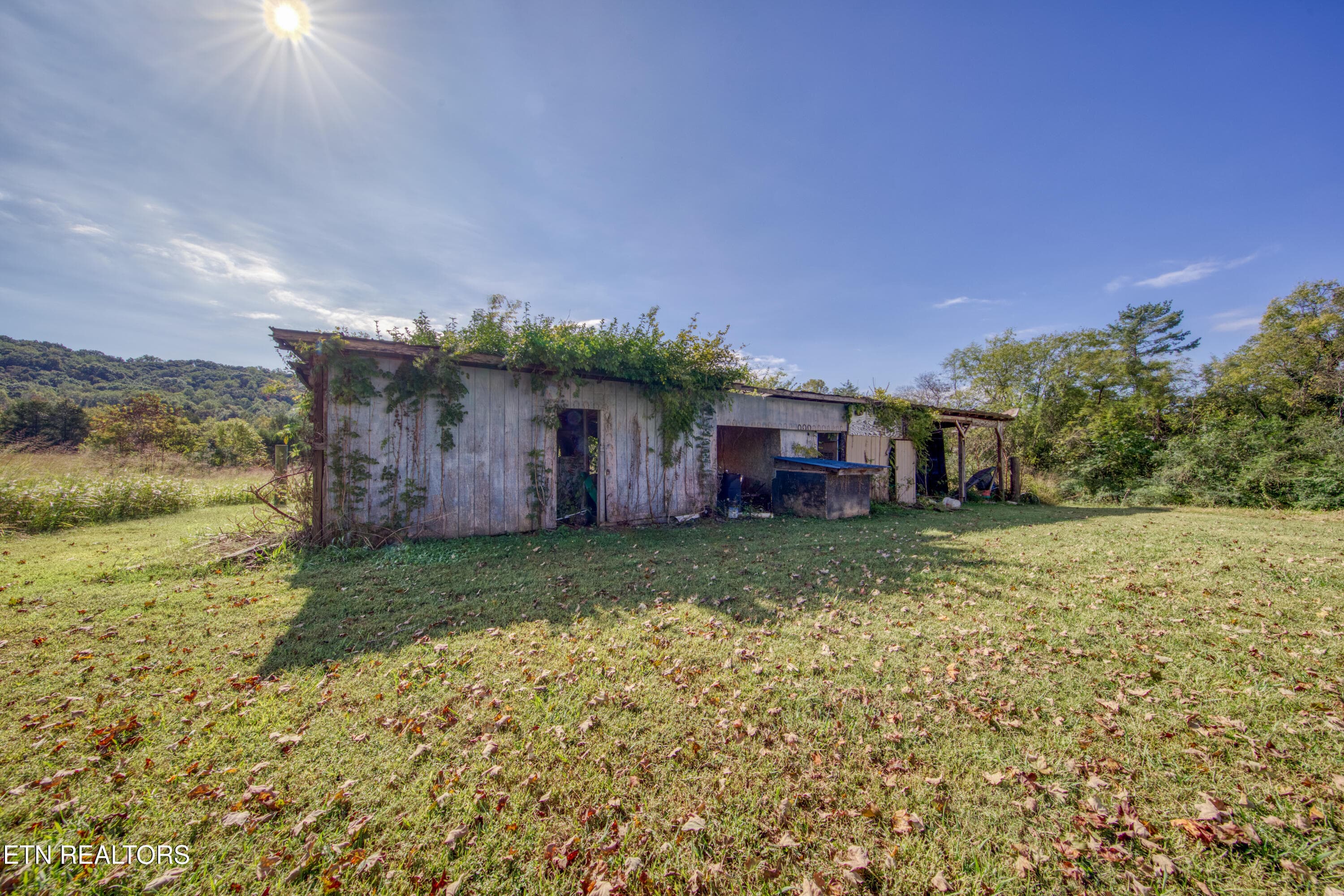 0H3A6774_120_Original - 3243 Hall Rd, Loudon, TN 37774, Loudon