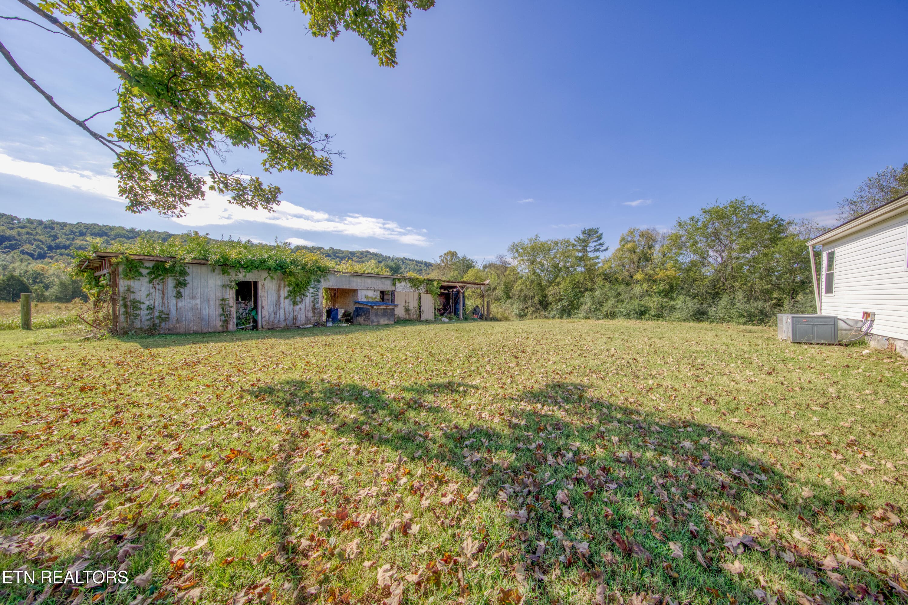 0H3A6780_122_Original - 3243 Hall Rd, Loudon, TN 37774, Loudon