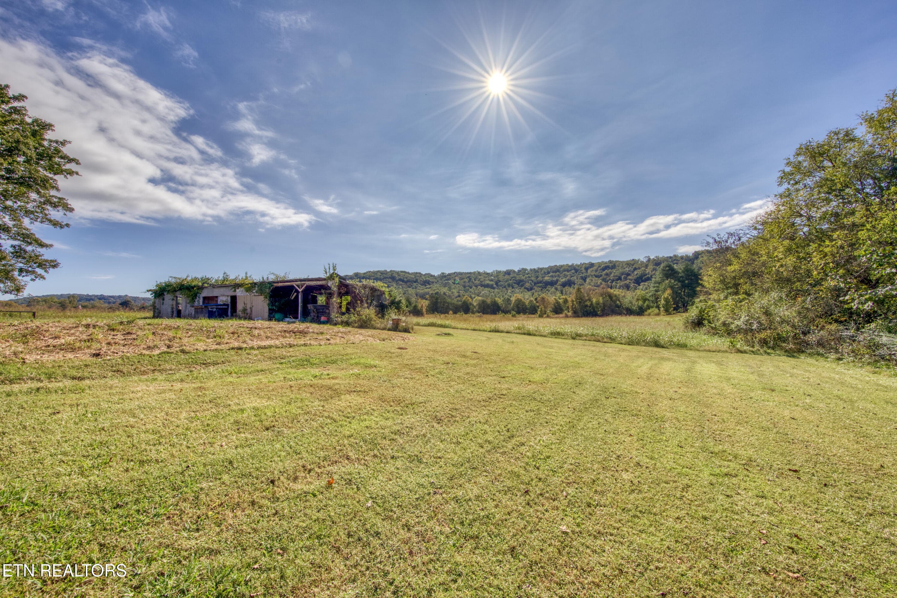 0H3A6783_124_Original - 3243 Hall Rd, Loudon, TN 37774, Loudon