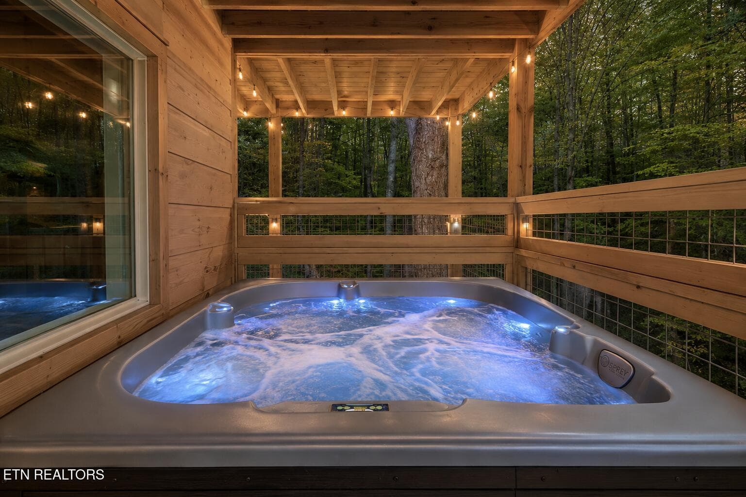 11 - 2252 Misty Shadows Drive, Sevierville, TN 37862, Sevierville